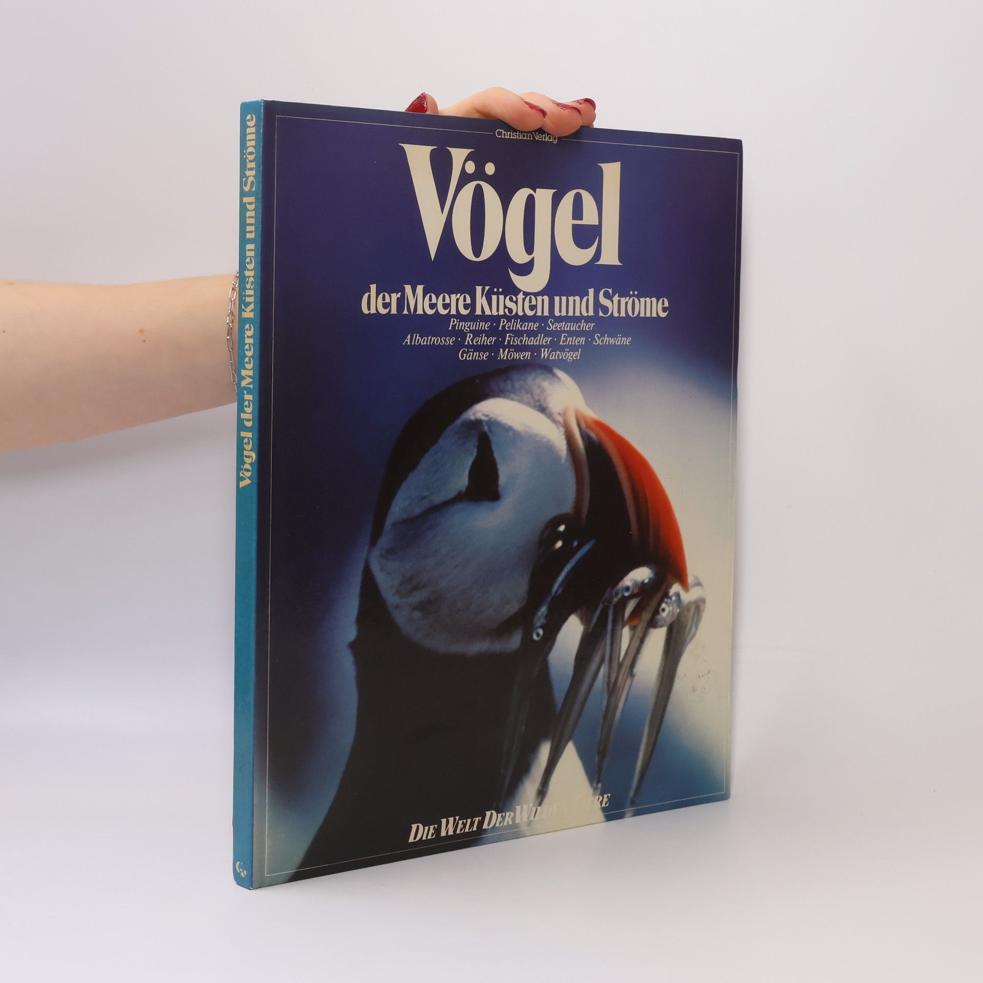 Wilbur Bradbury Vögel der Meere, Küsten und Ströme