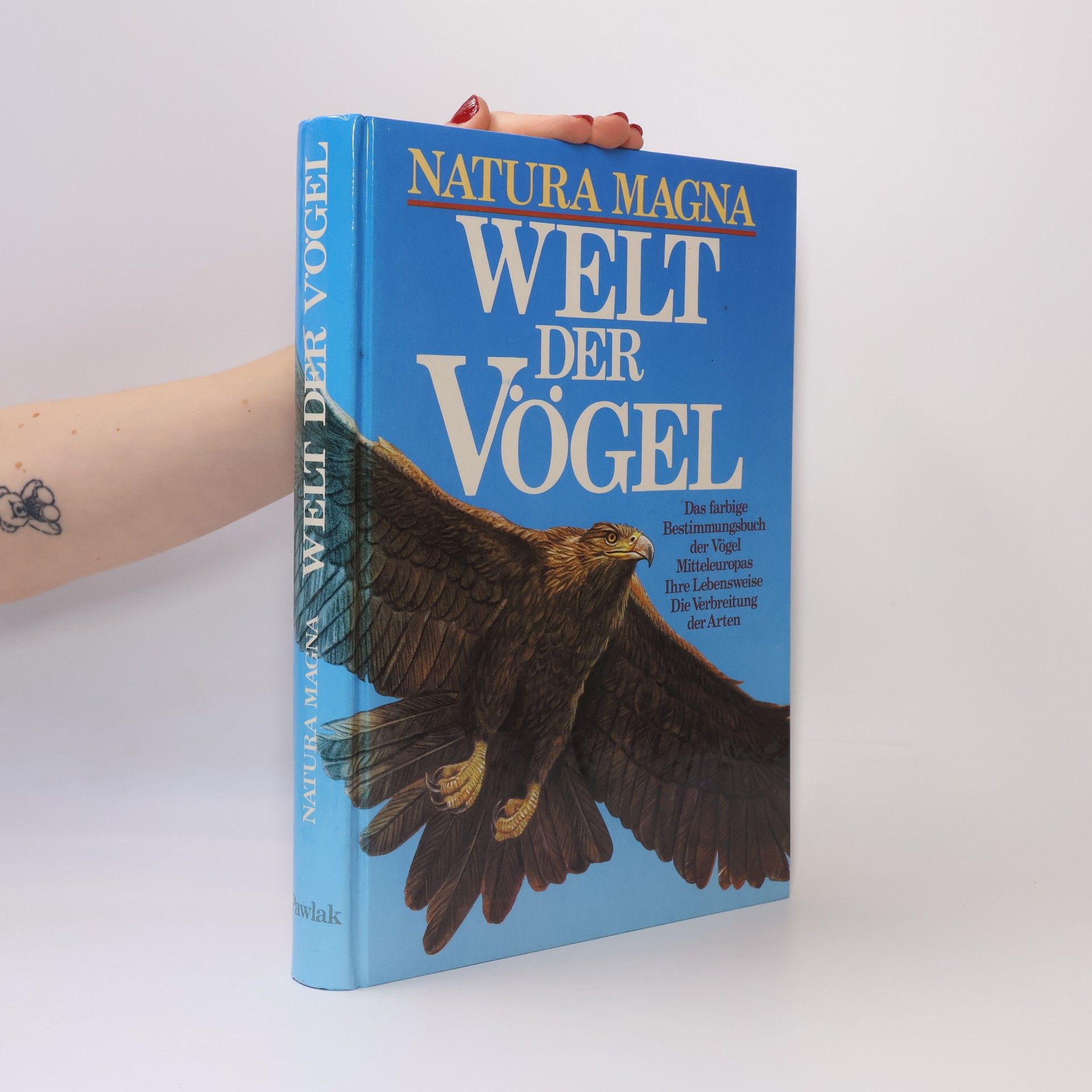 Autorenkollektiv Natura Magna. Welt der Vögel