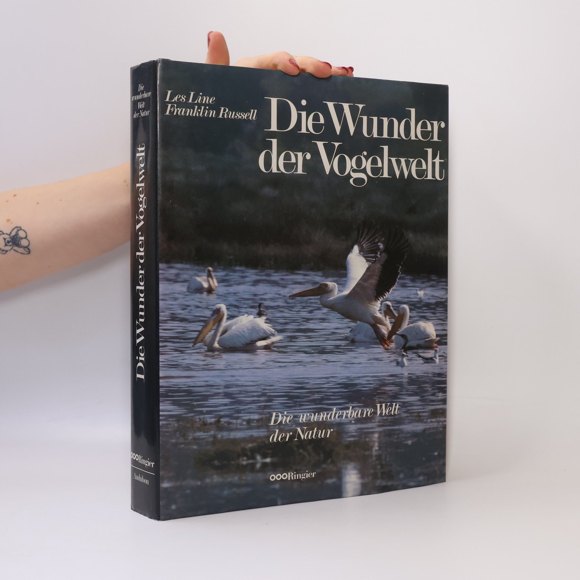 Les Line Die Wunder der Vogelwelt