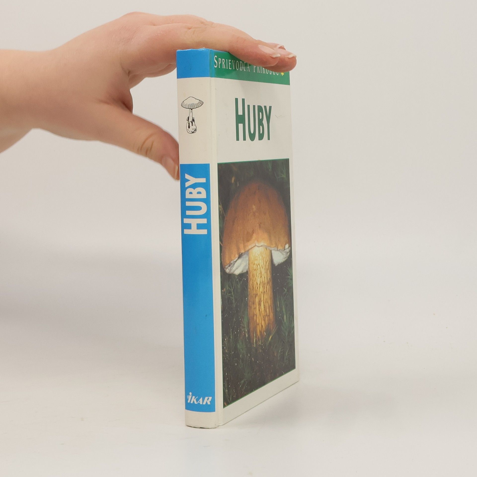 Renate Grünert Huby