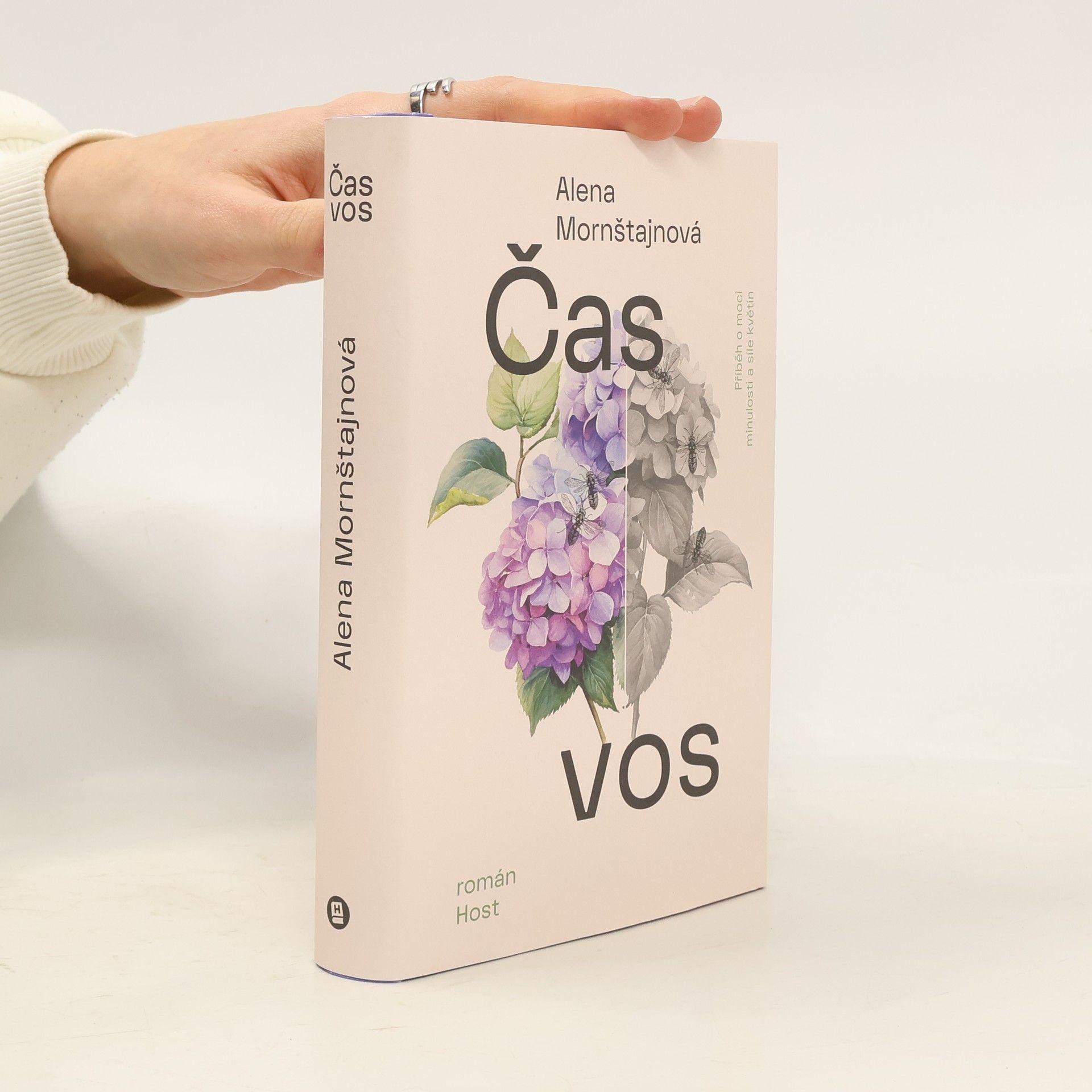 Alena Mornštajnová Čas vos