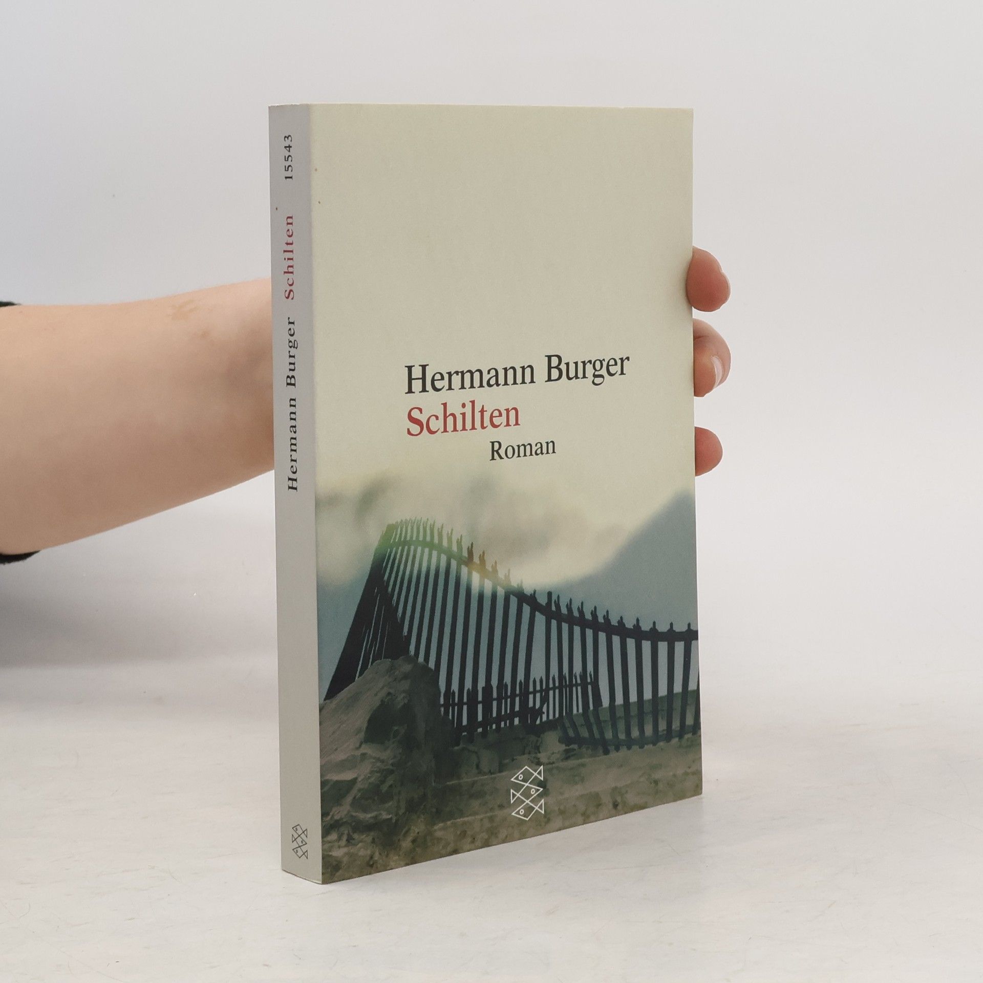 Hermann Burger Schilten