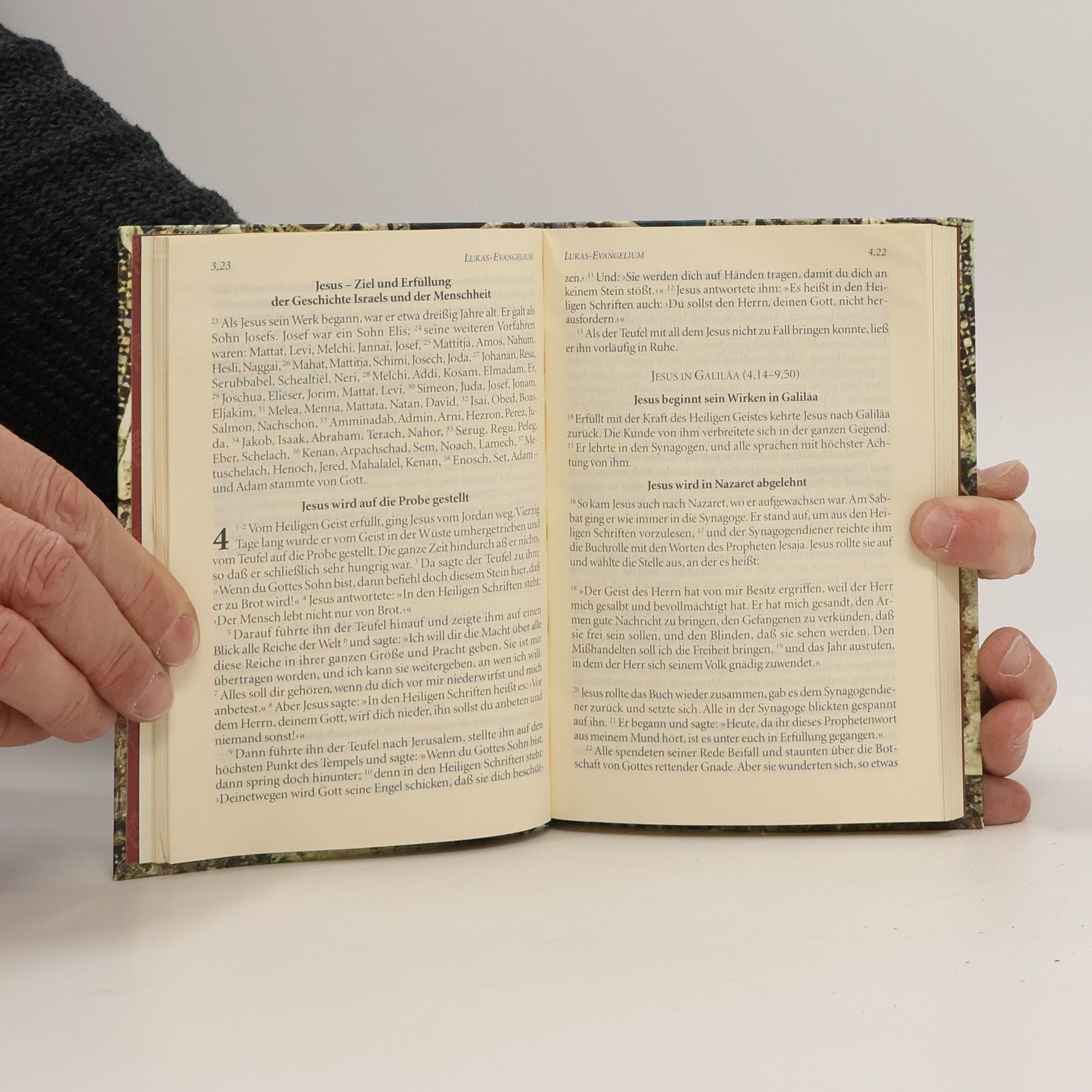 Kolektiv autorů Gospel of Luke in 7 Languages