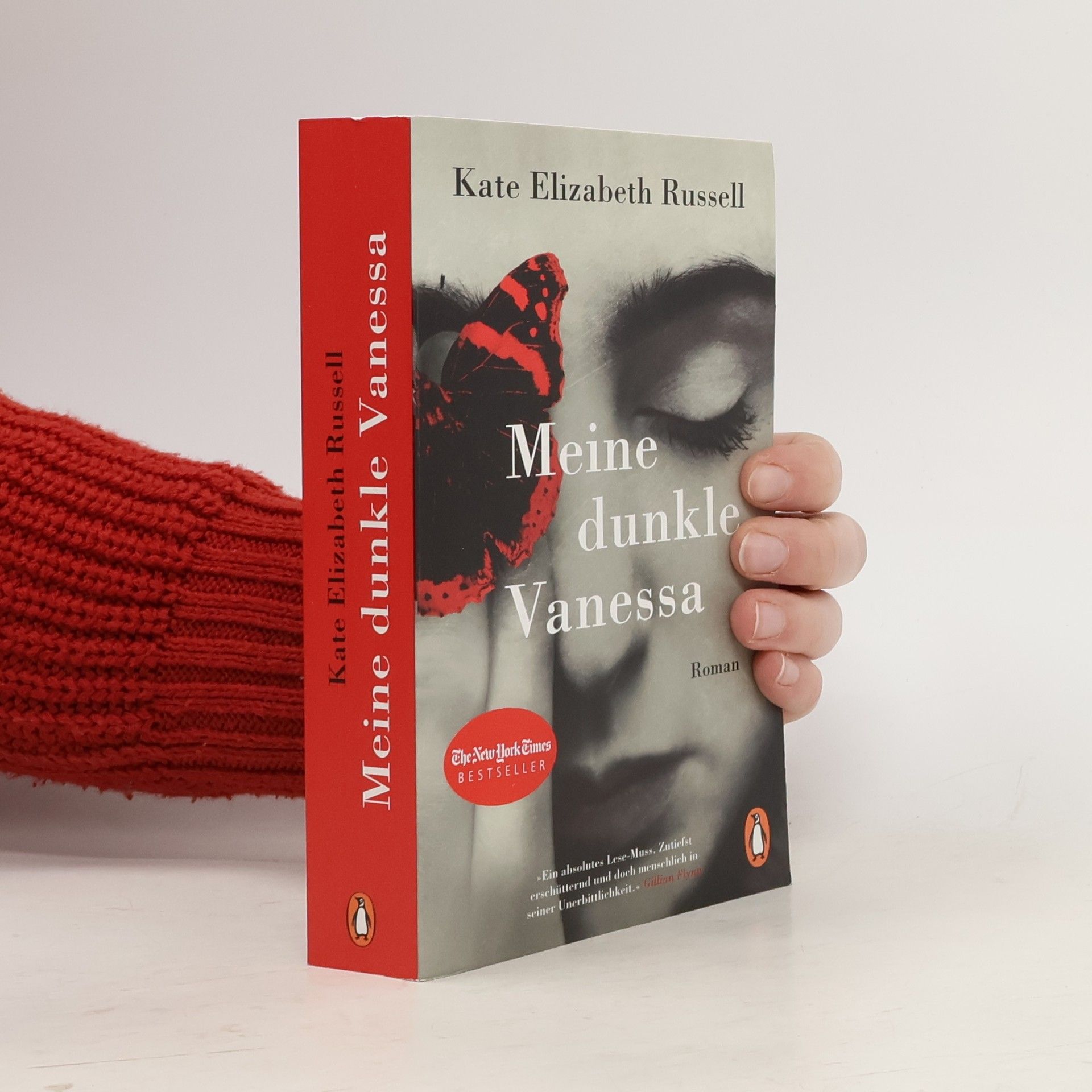 Kate Russell Meine dunkle Vanessa