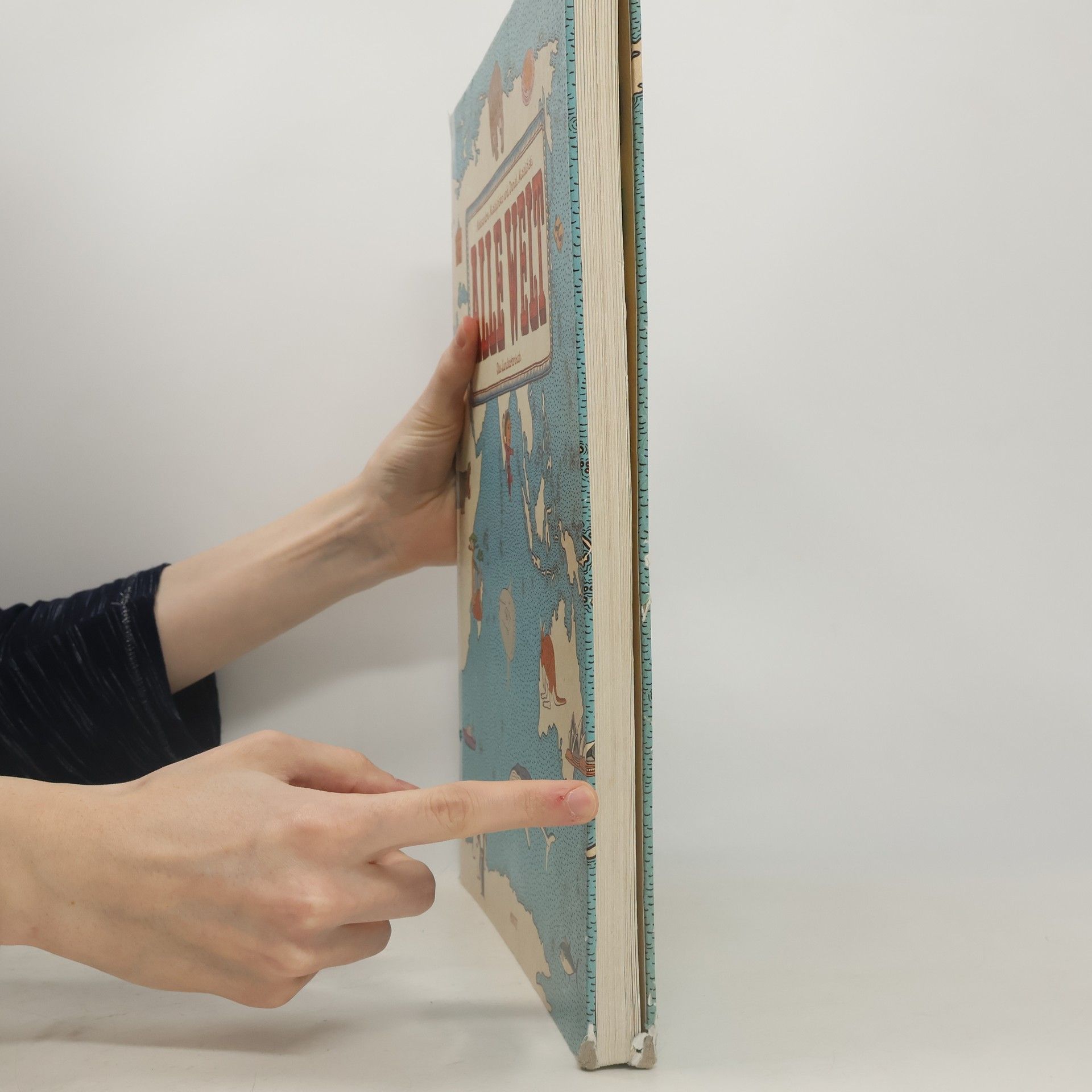 Aleksandra Mizielińska Alle Welt