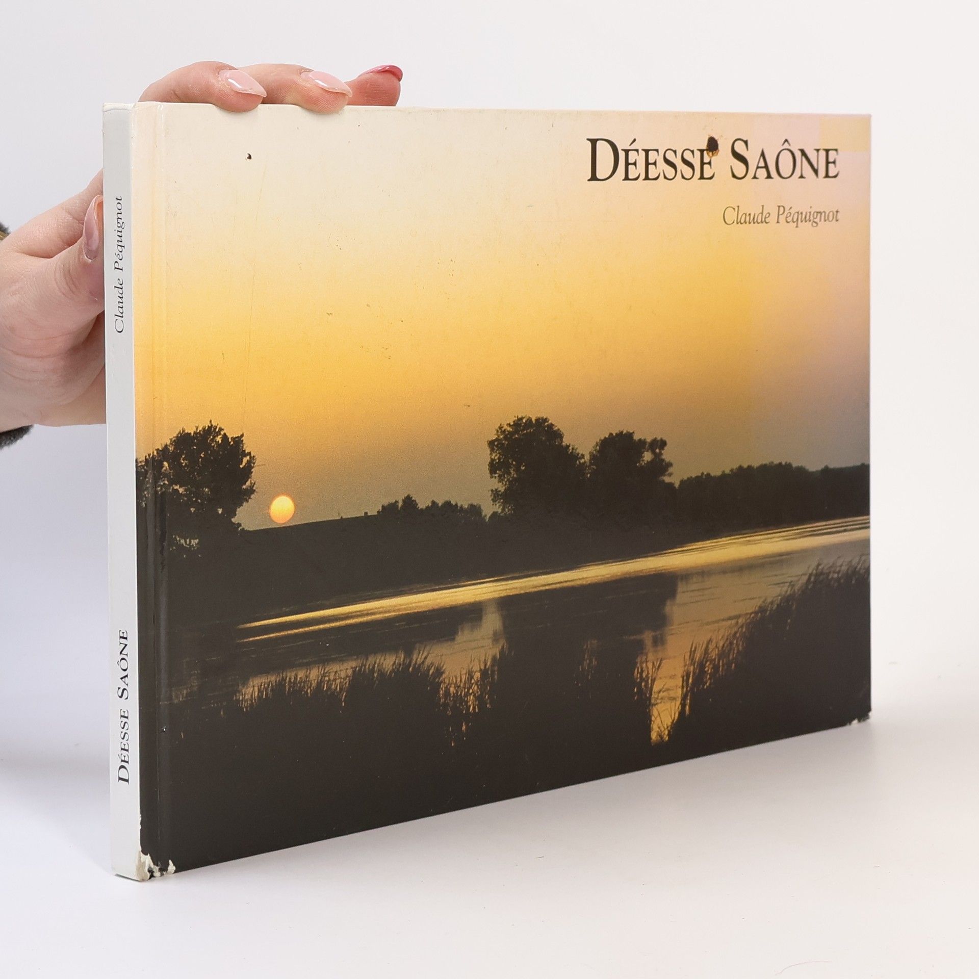 Claude Péquignot Déesse Saône