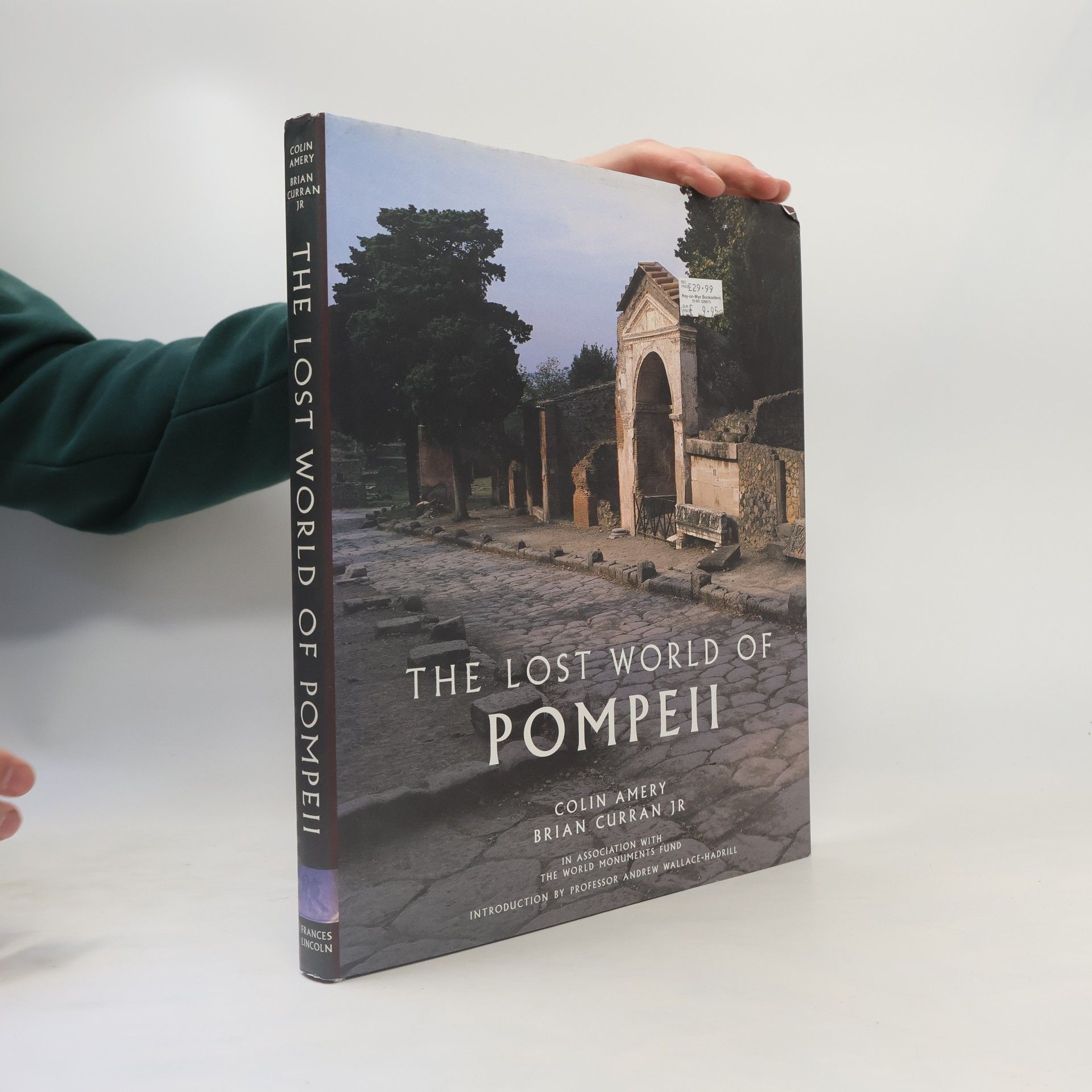 Colin Amery The Lost World of Pompeii