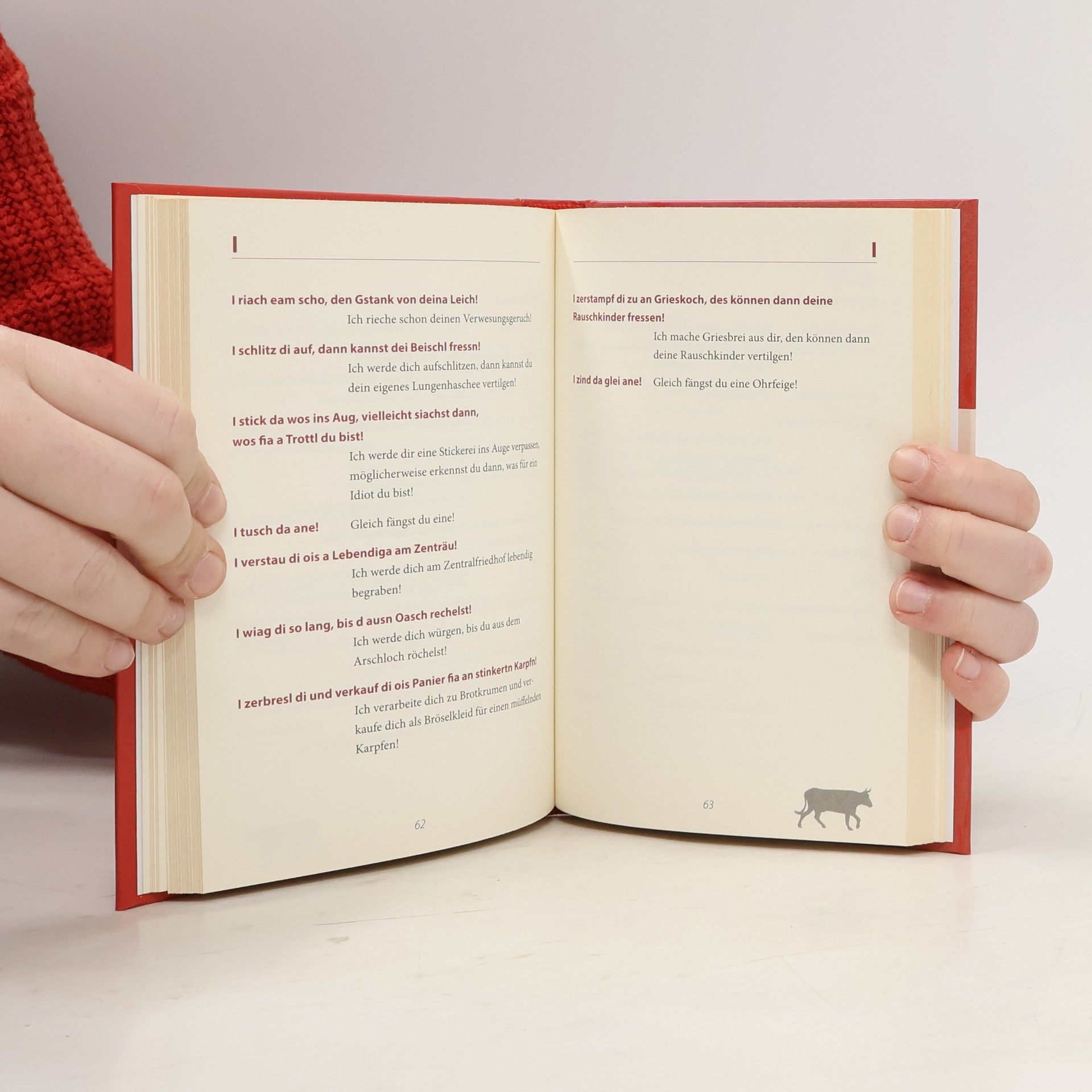 Peter Ahorner Handbuch der österreichischen Schimpfwörter