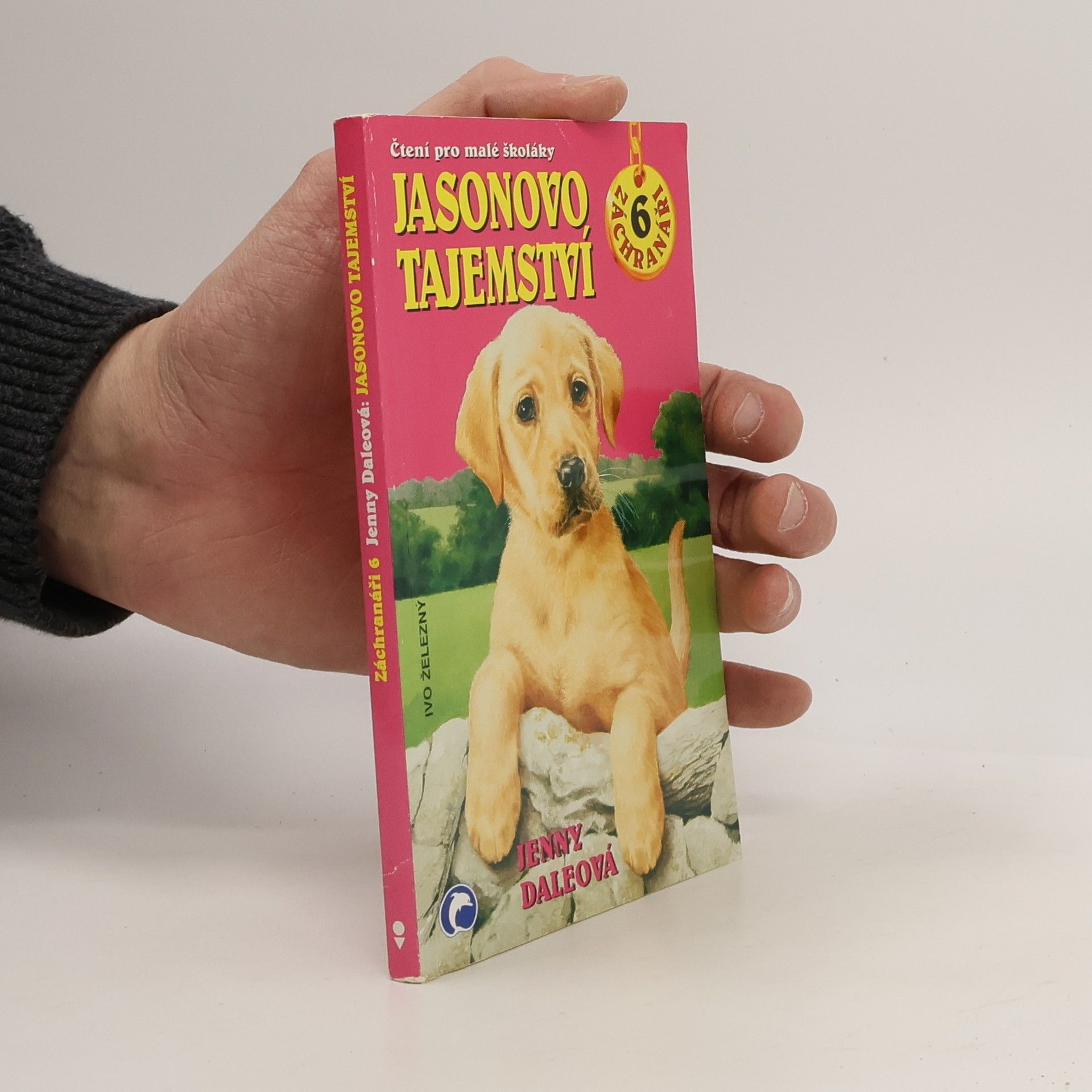 Linda Chapman Jasonovo tajemství