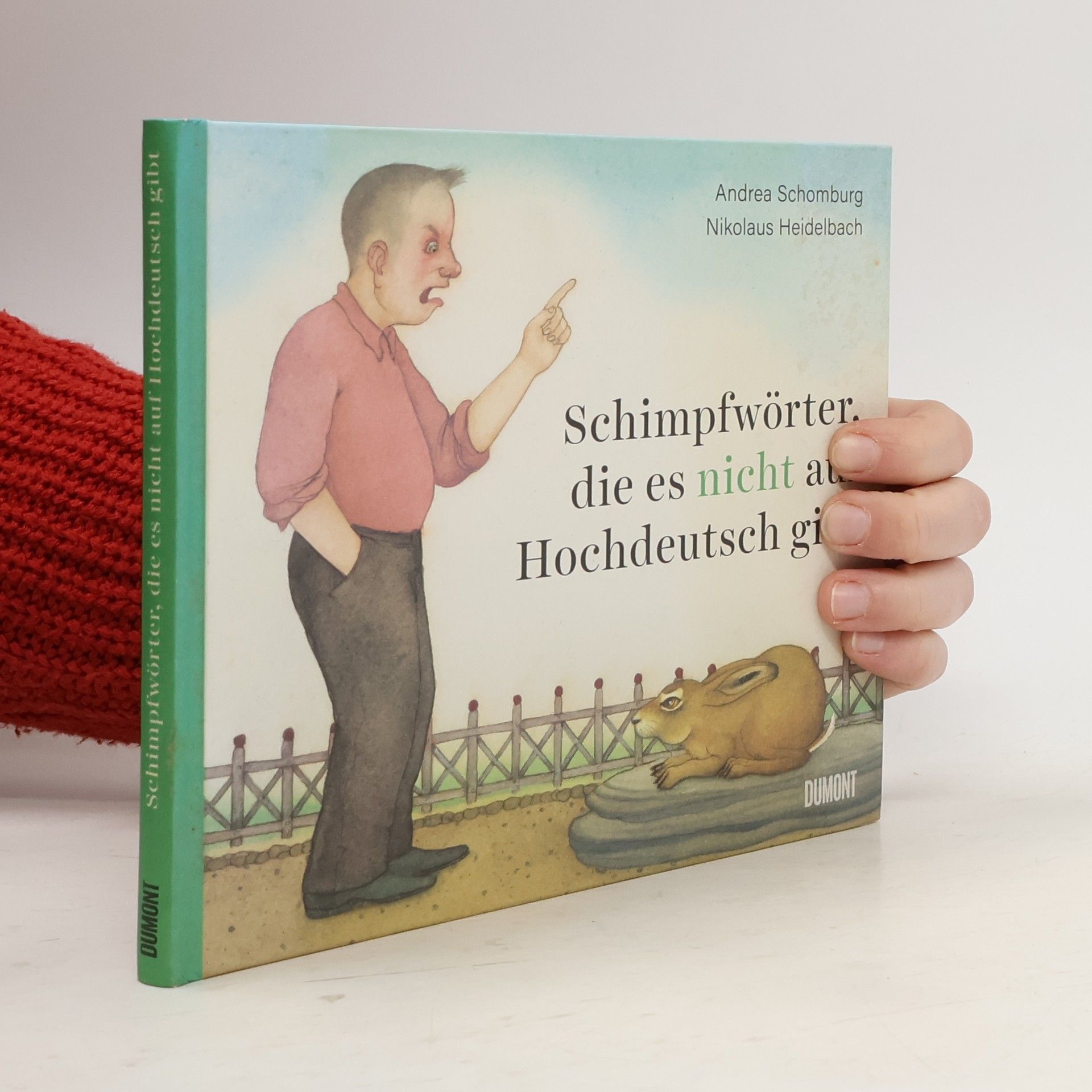 Andrea Schomburg Schimpfwörter, die es nicht auf Hochdeutsch gibt