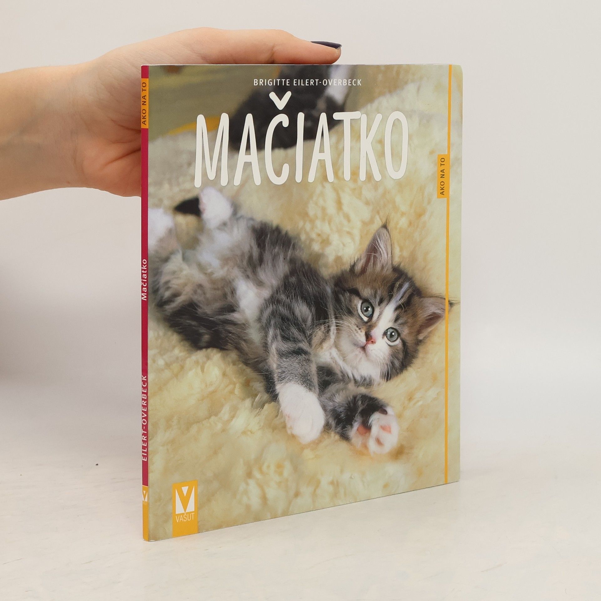 Kolektiv autorů Mačiatko