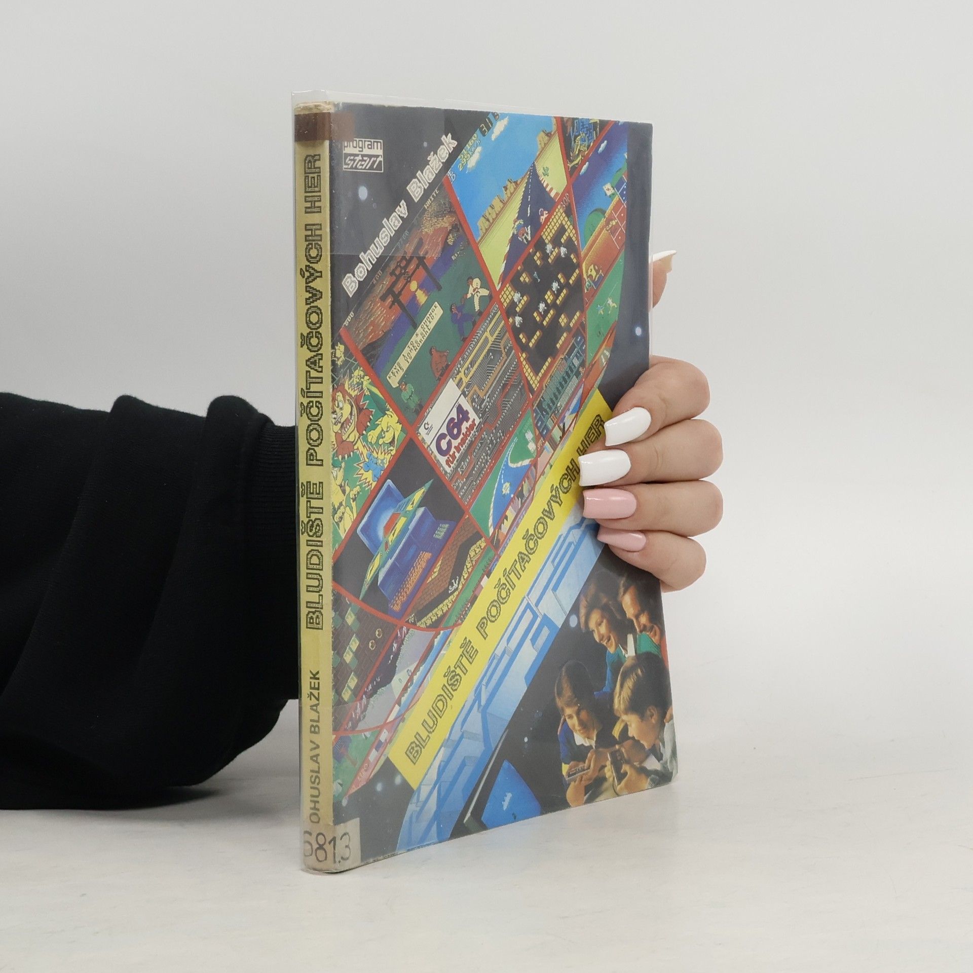 Bludiště počítačových her