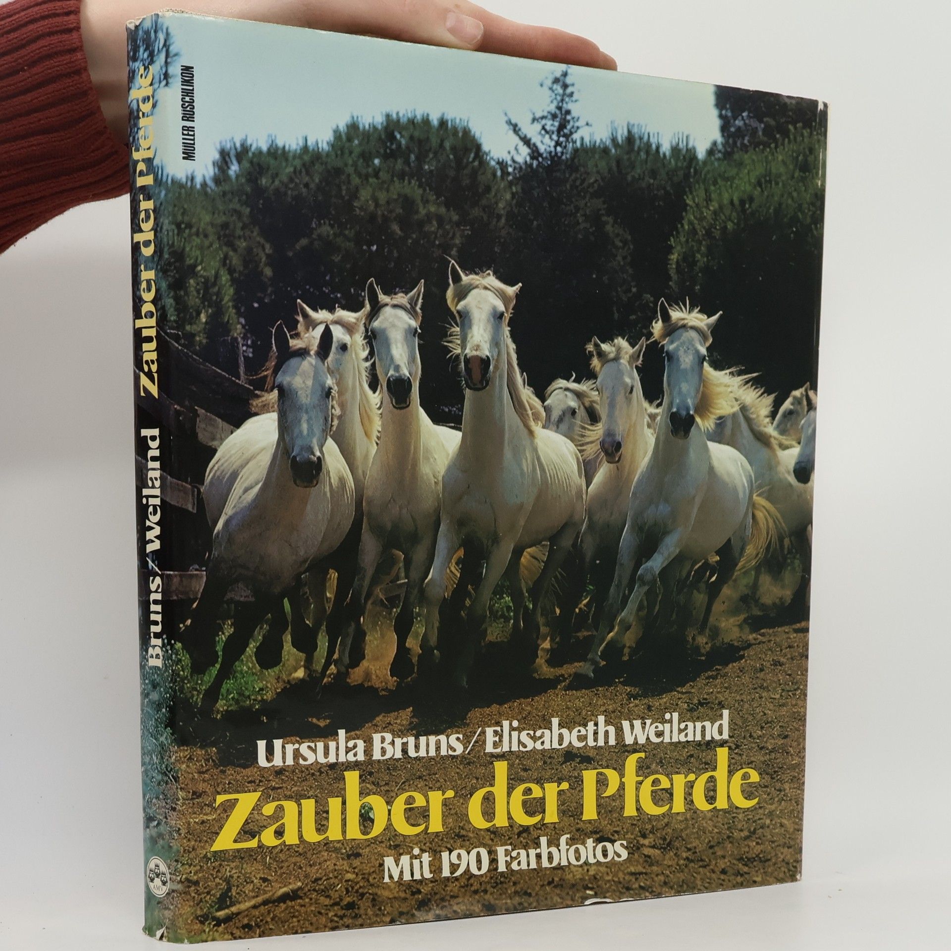 Ursula Bruns Zauber der Pferde