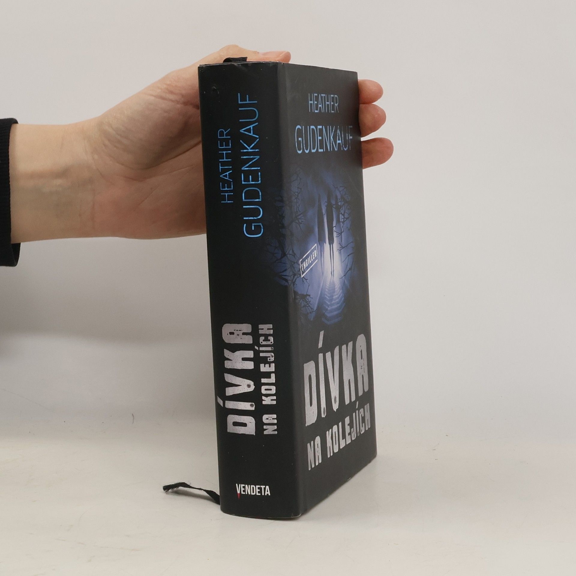 Heather Gudenkauf Dívka na kolejích