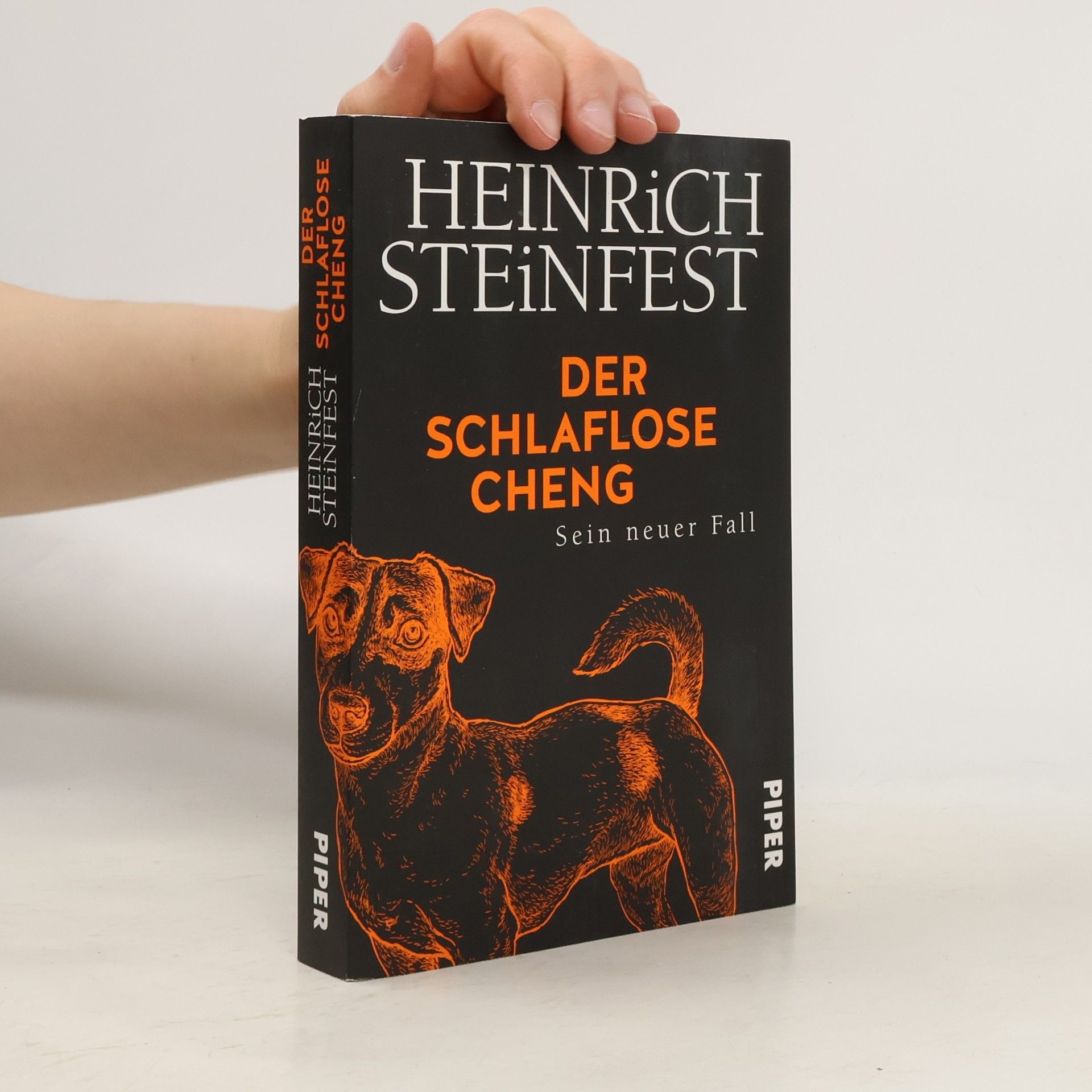 Heinrich Steinfest Der schlaflose Cheng