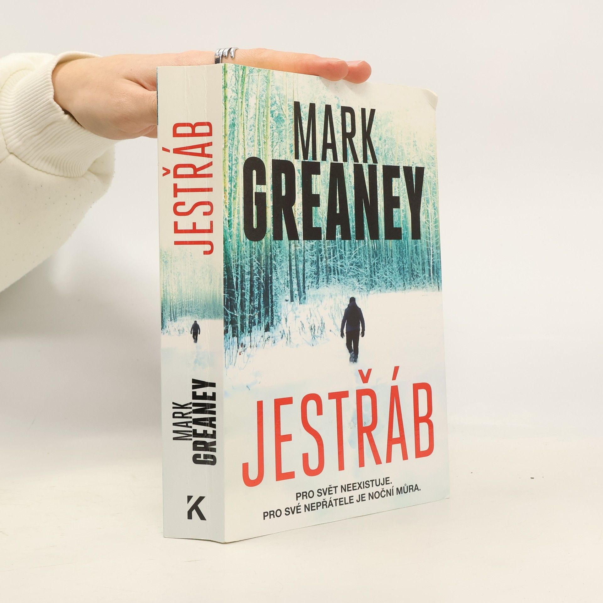 Mark Greaney Jestřáb