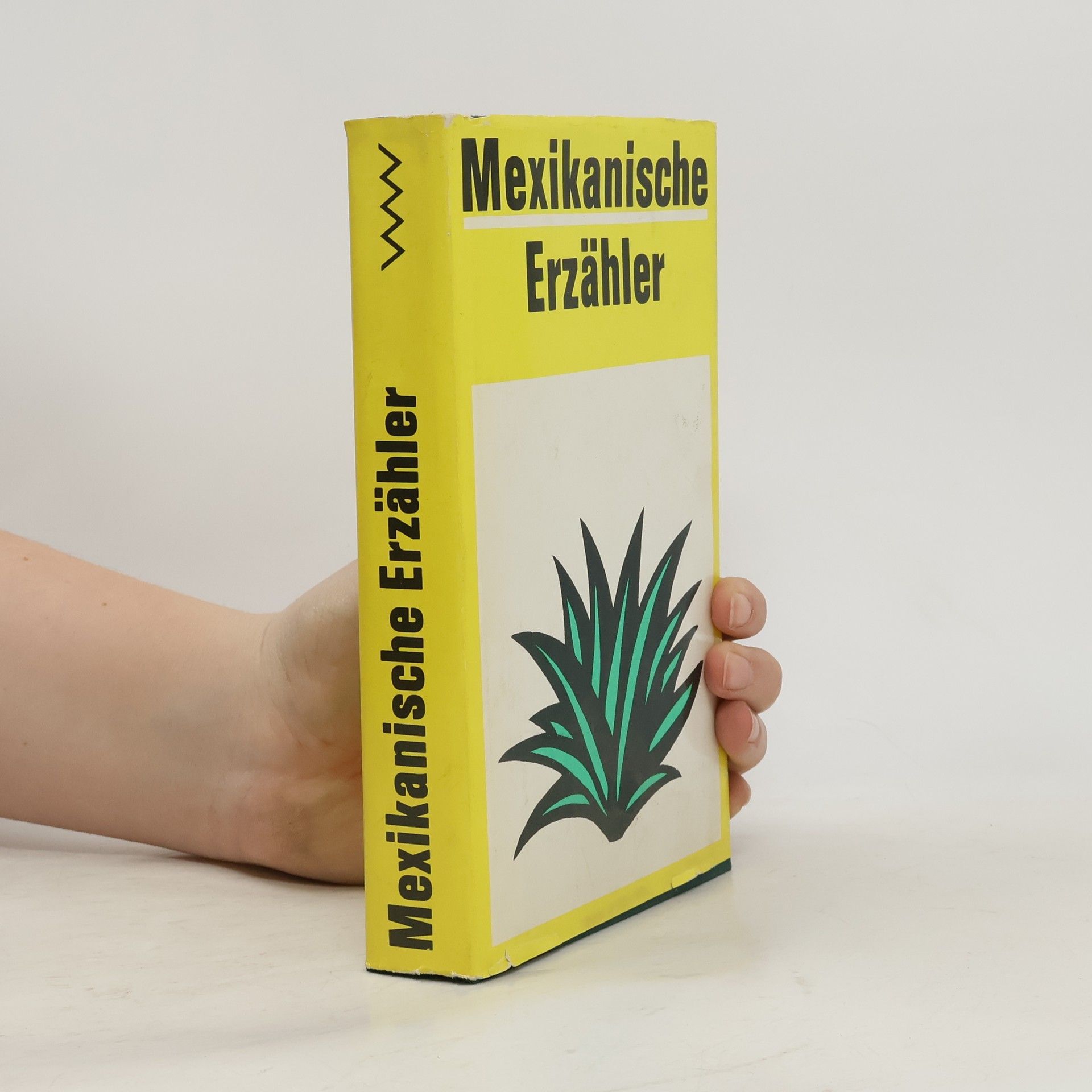 Autorenkollektiv Mexikanische Erzähler