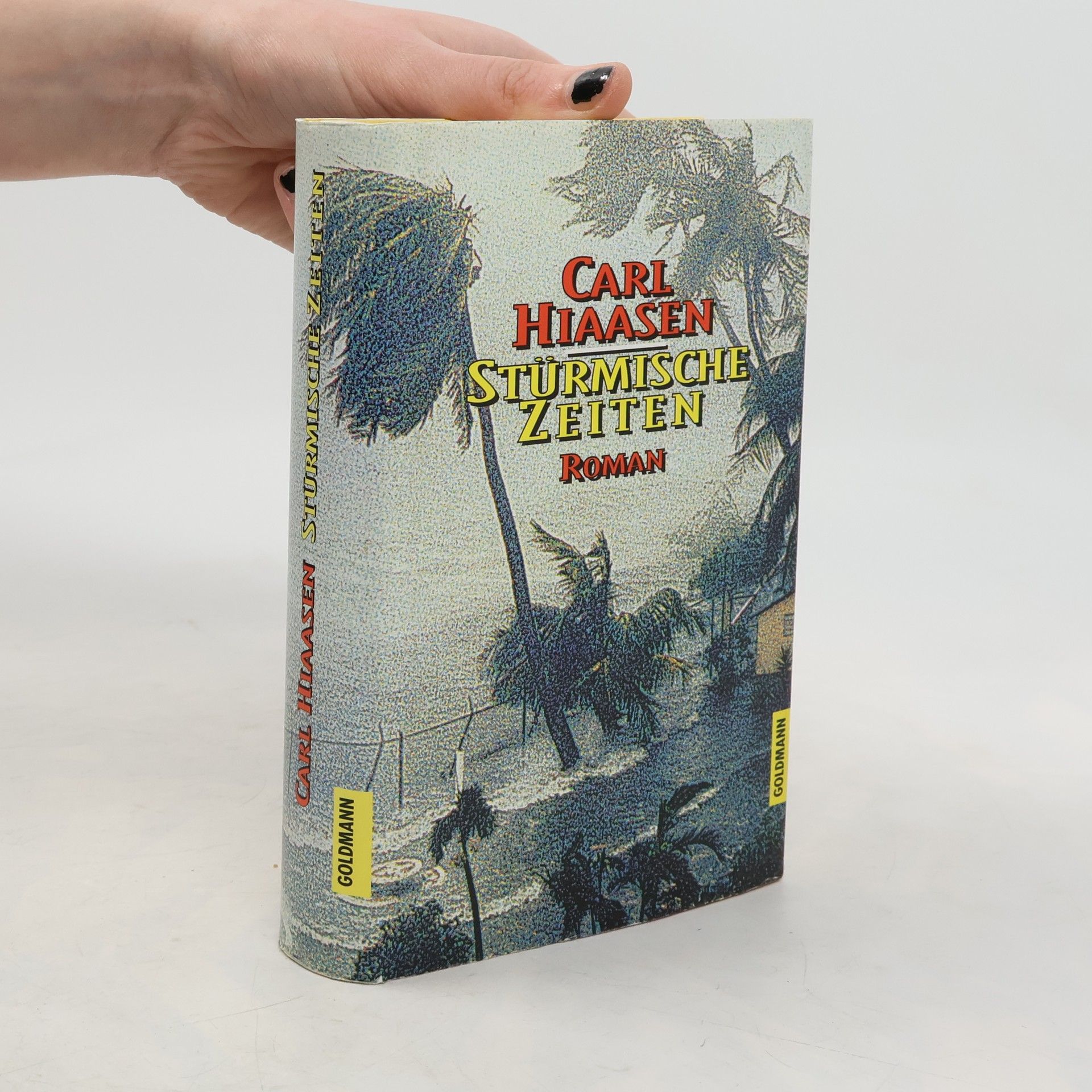 Carl Hiaasen Stürmische Zeiten