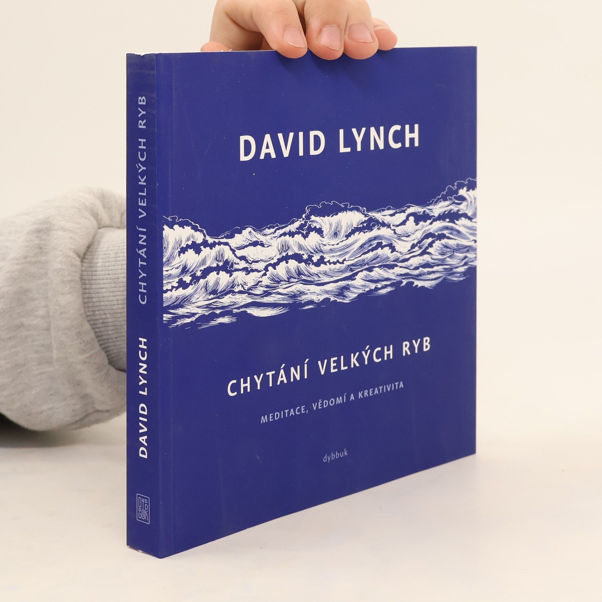 David Lynch Chytání velkých ryb