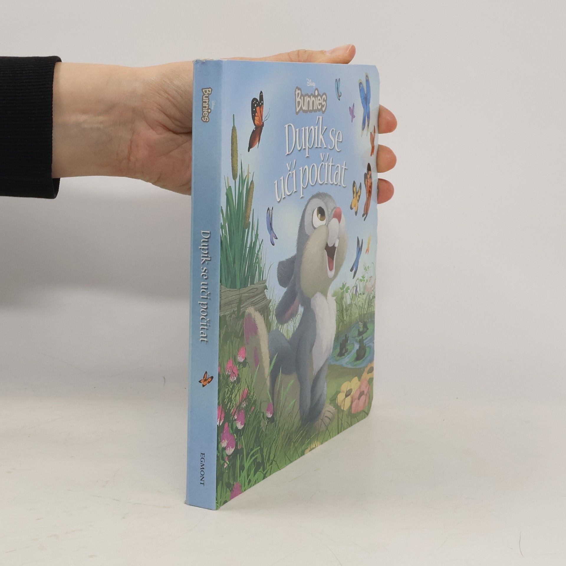 Autorenkollektiv Disney Bunnies - Dupík se učí počítat