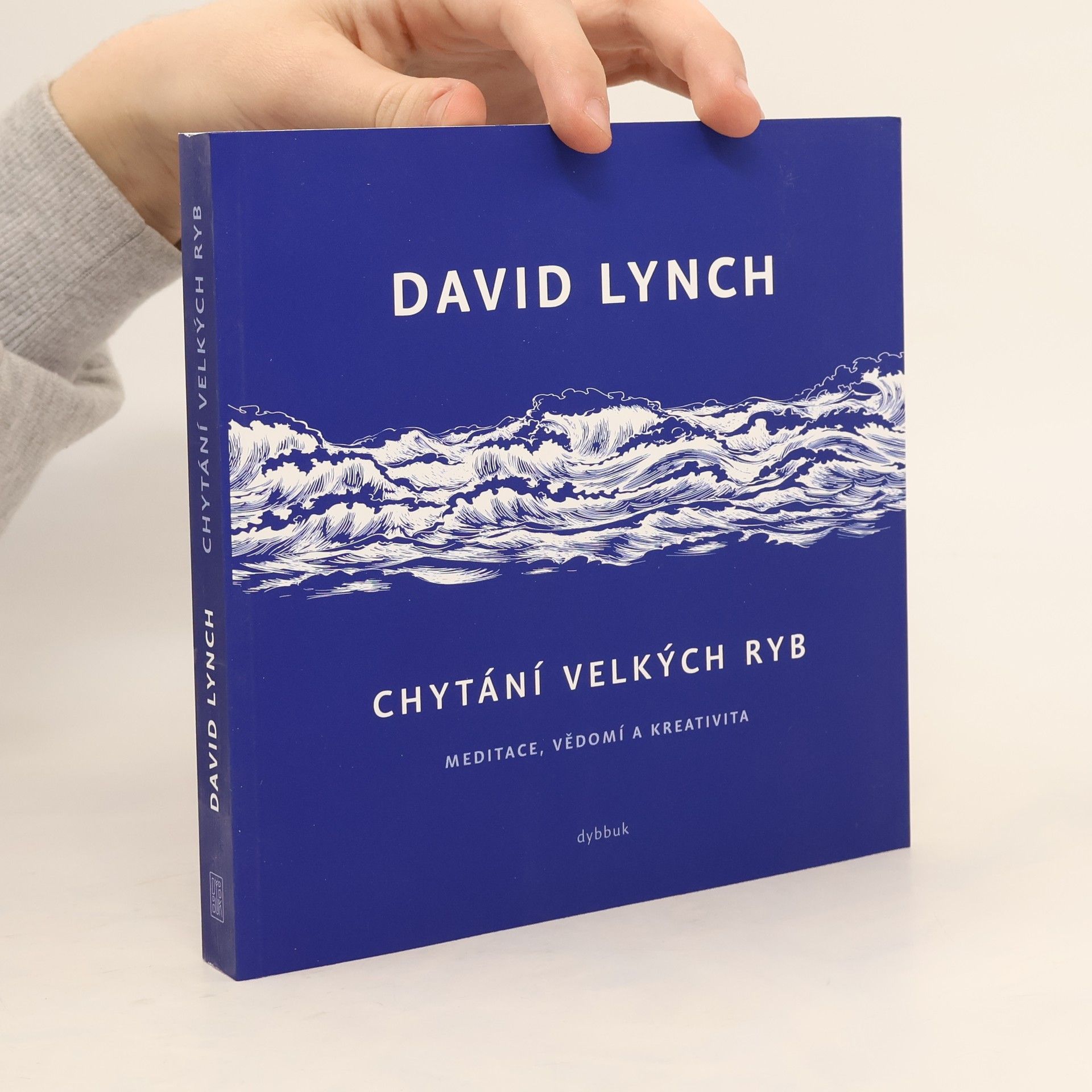 David Lynch Chytání velkých ryb