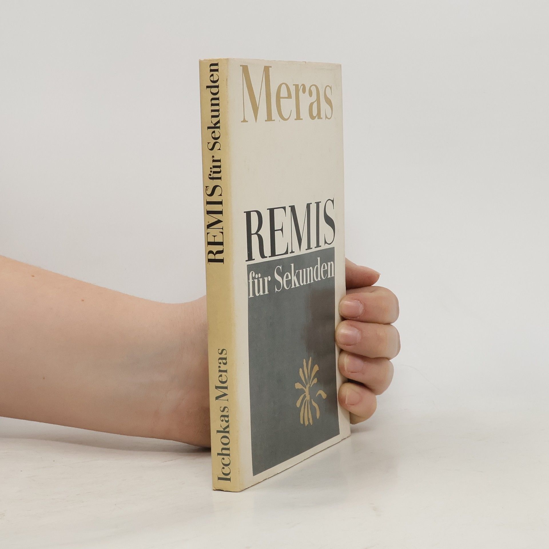 Icchokas Meras Remis für Sekunden