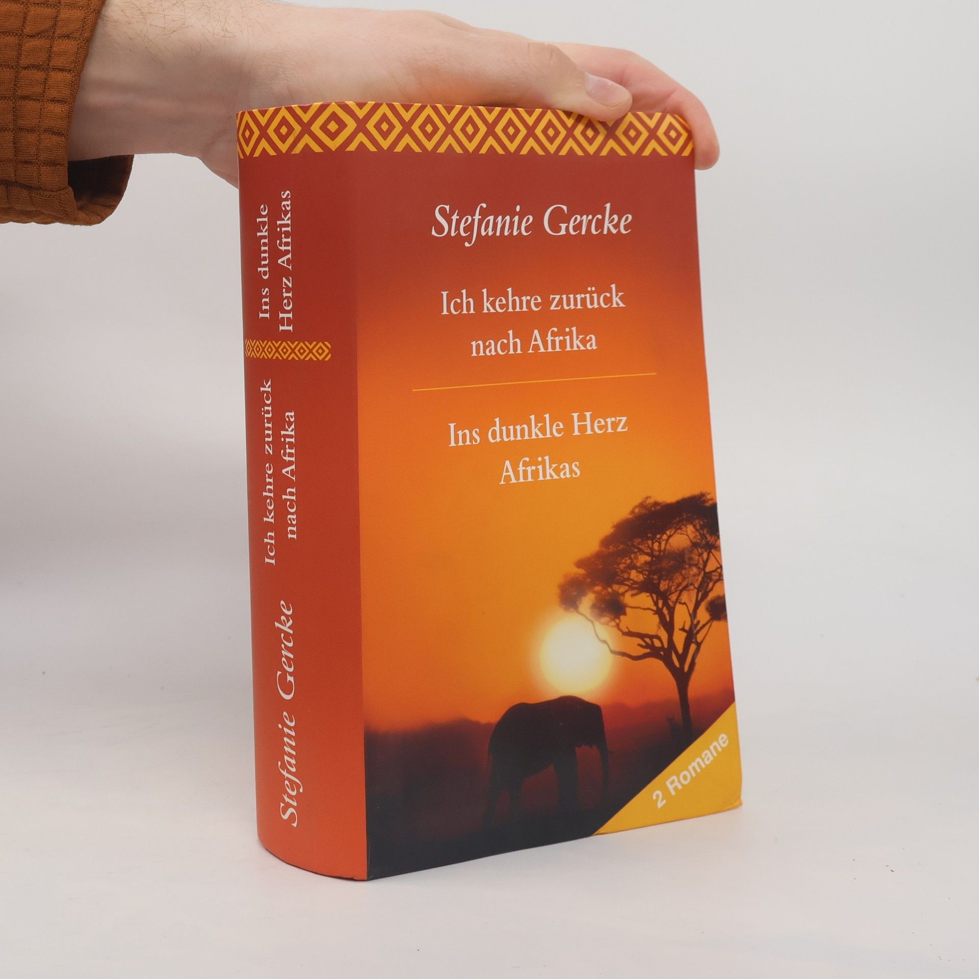 Stefanie Gercke Ich kehre zurück nach Afrika. Ins dunkle Herz Afrikas