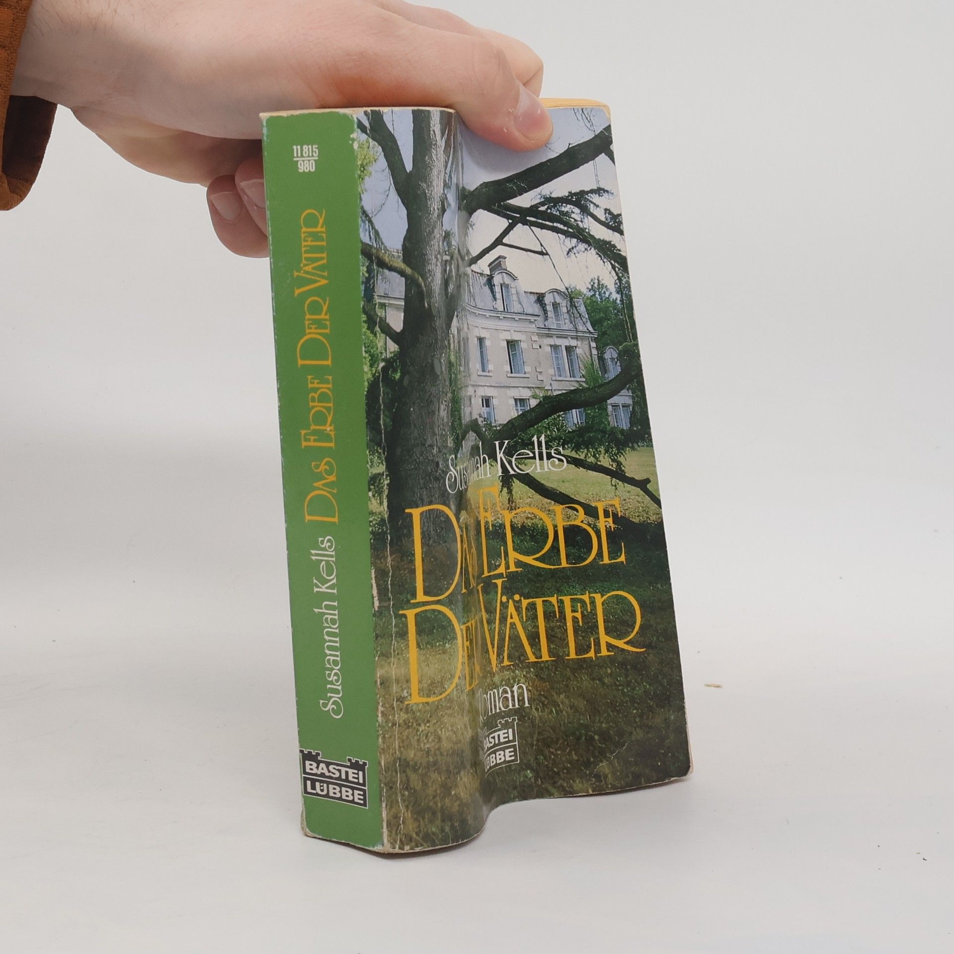 Sussannah Kells Das Erbe der Väter