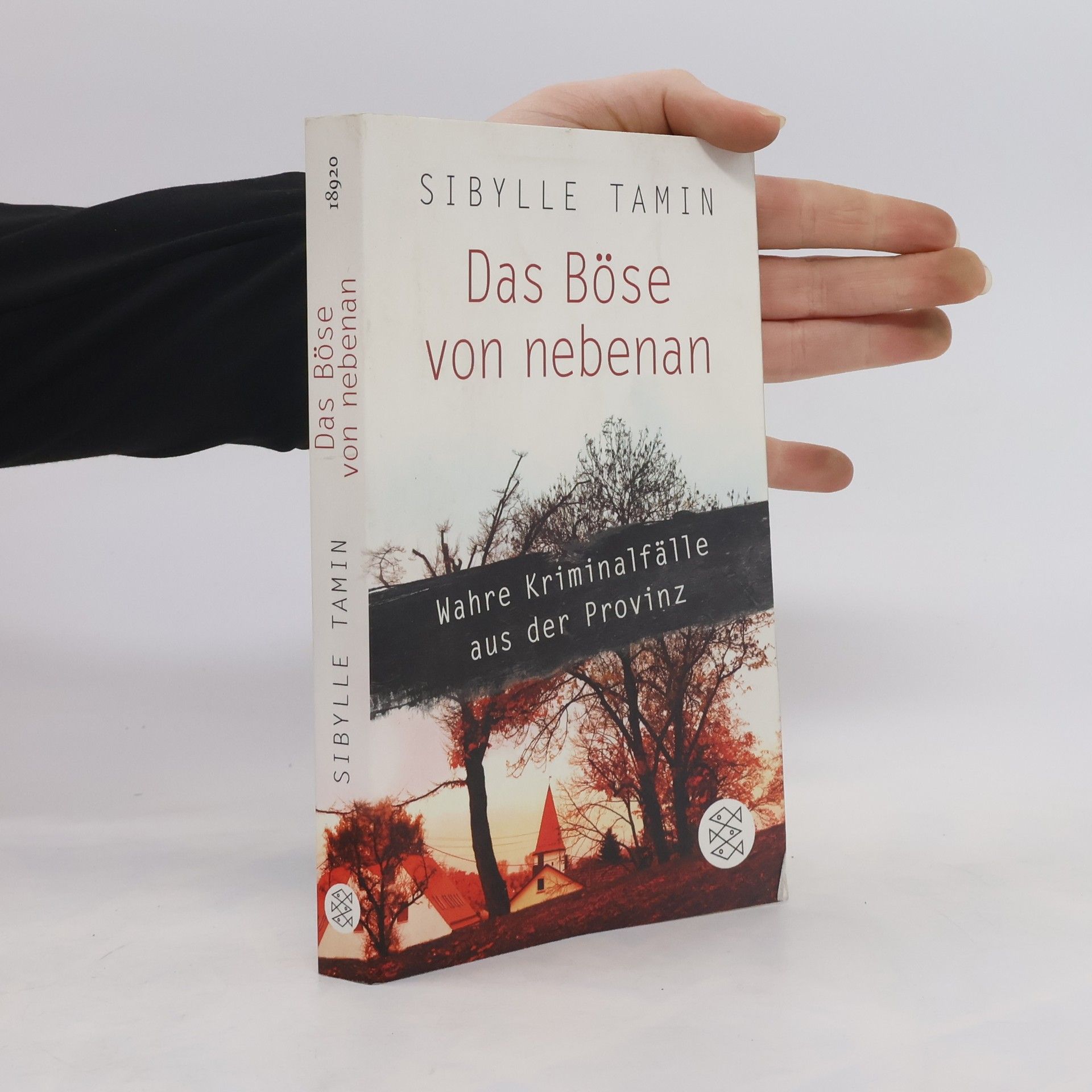 Sibylle Tamin Das Böse von nebenan