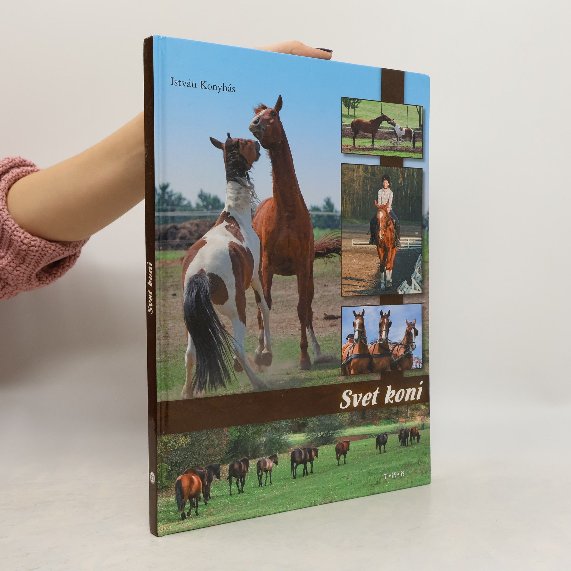 István Konyhás Svet koní