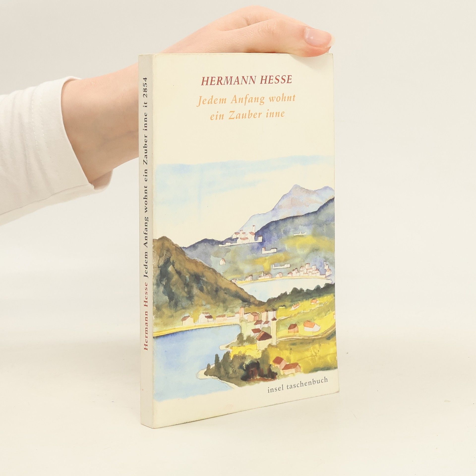 Hermann Hesse Jedem Anfang wohnt ein Zauber inne