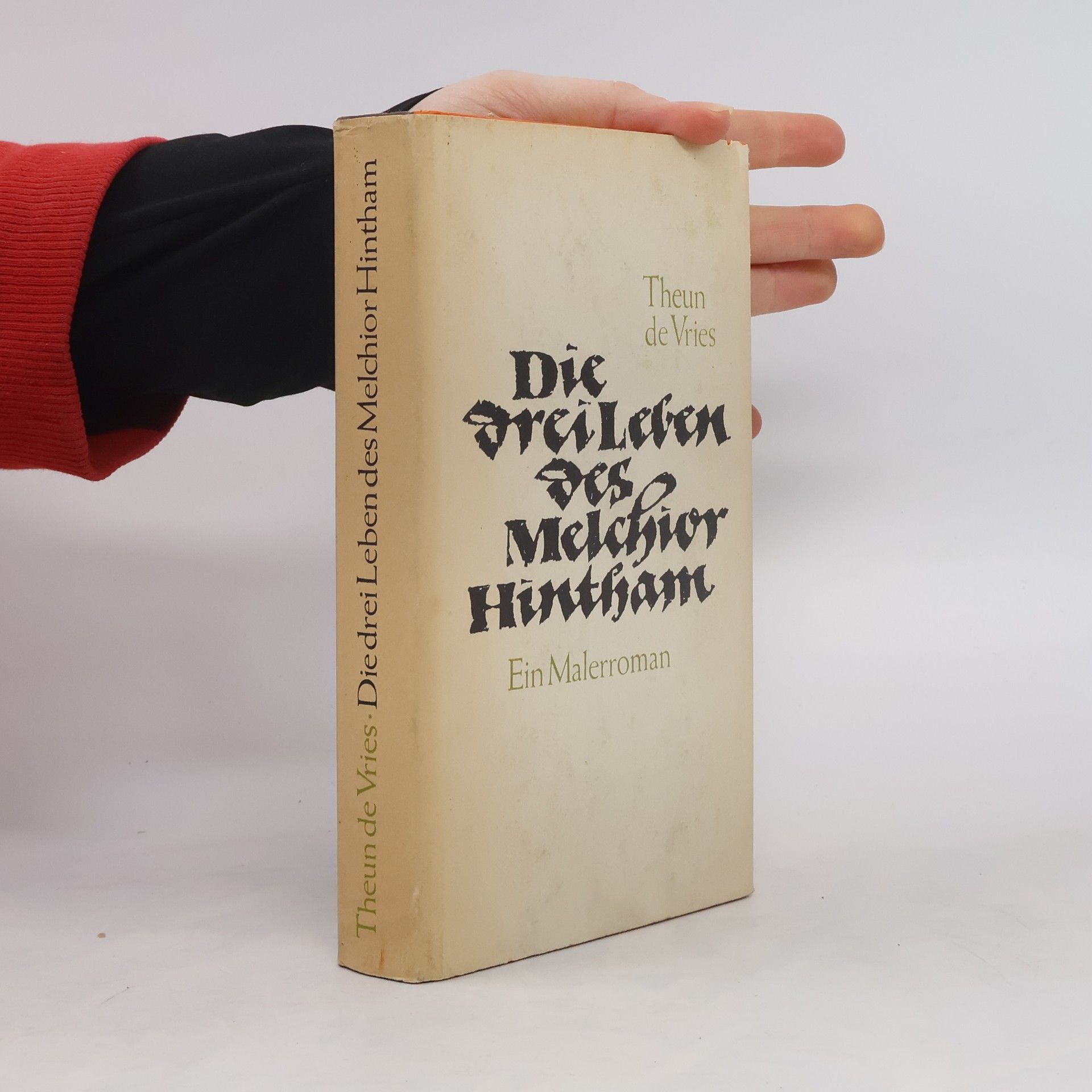 Theun de Vries Die drei Leben des Melchior Hintham