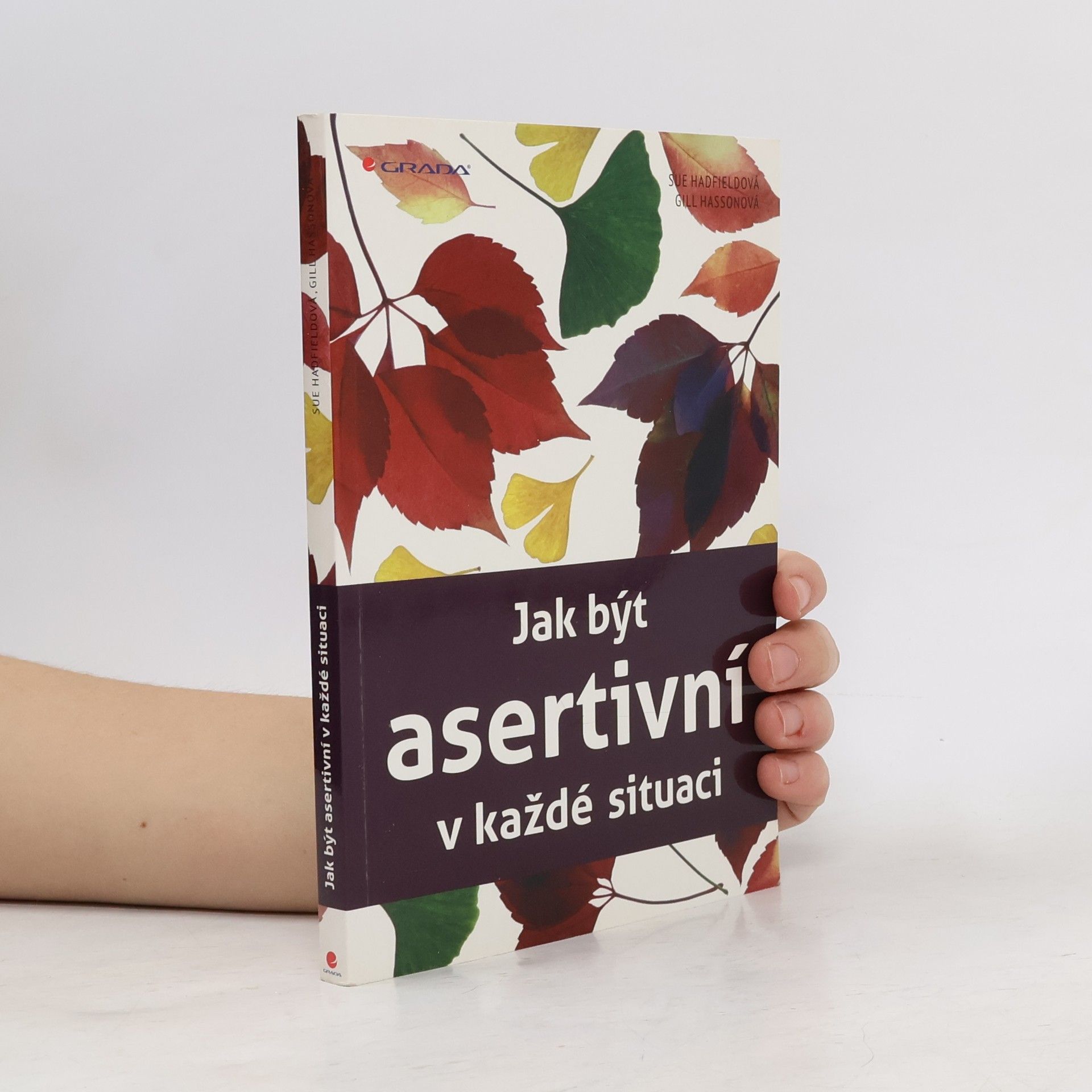 Autores varios Jak být asertivní v každé situaci
