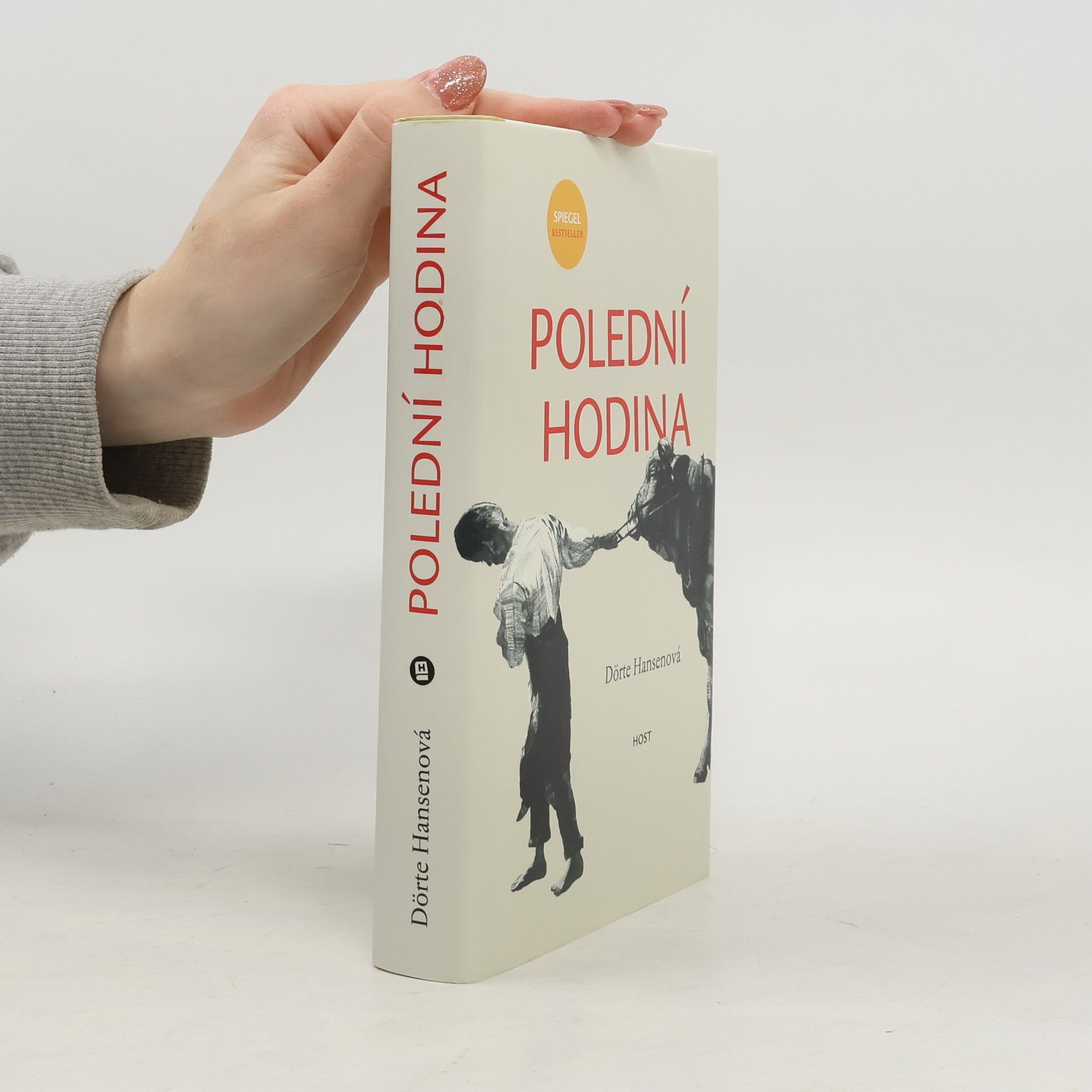 Dörte Hansen Polední hodina