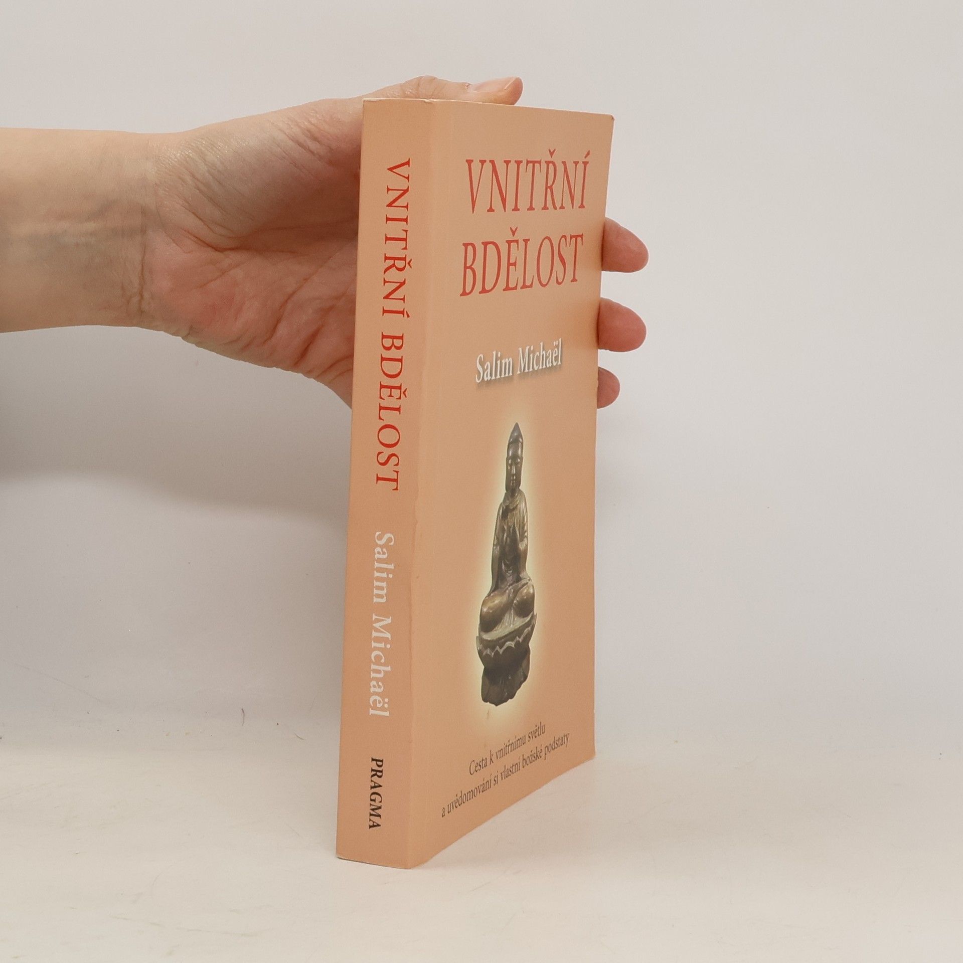 Salim Michaël Vnitřní bdělost : cesta k vnitřnímu světlu a uvědomování si vlastní podstaty