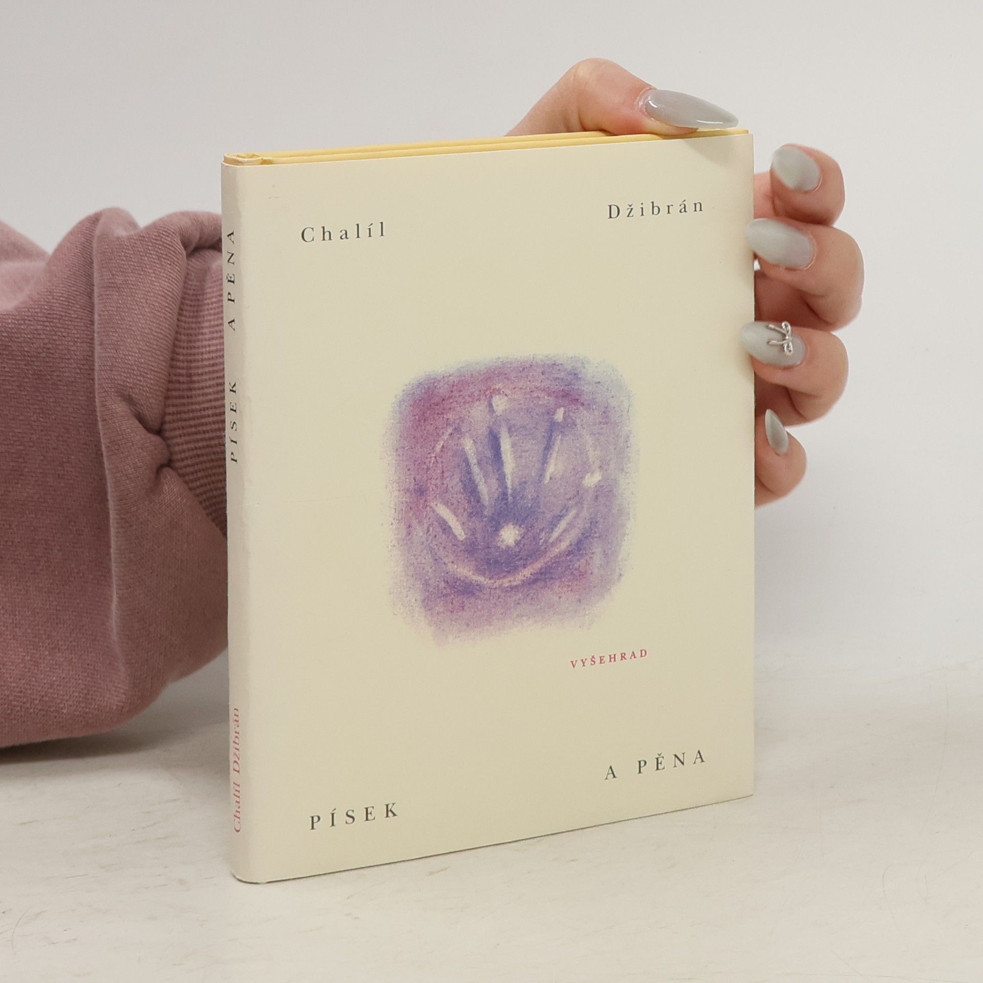 Kahlil Gibran Písek a pěna