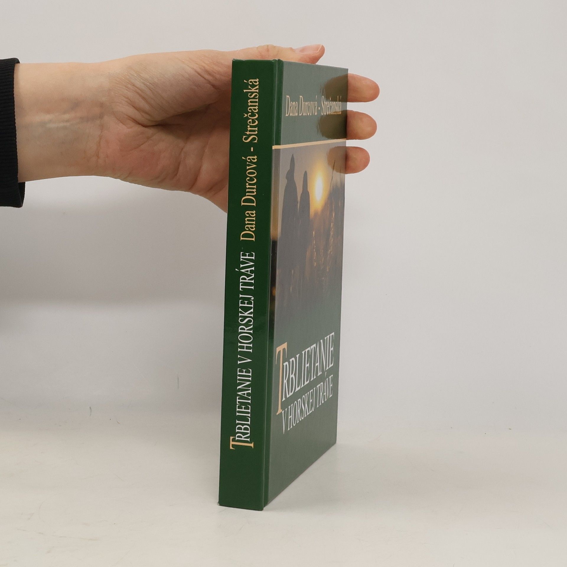 Dana Durcová Strečanská Trblietanie v horskej tráve