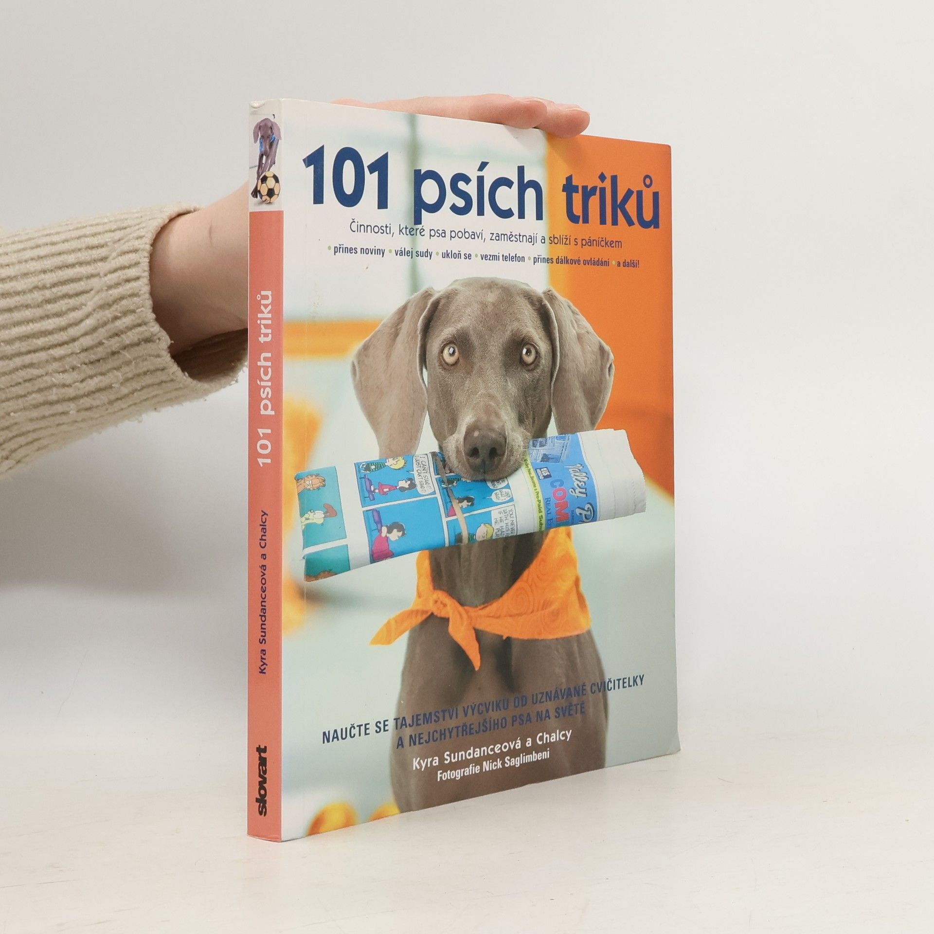 Kyra Sundance 101 psích triků : činnosti, které psa pobaví, zaměstnají a sblíží s páníčkem - krok za krokem