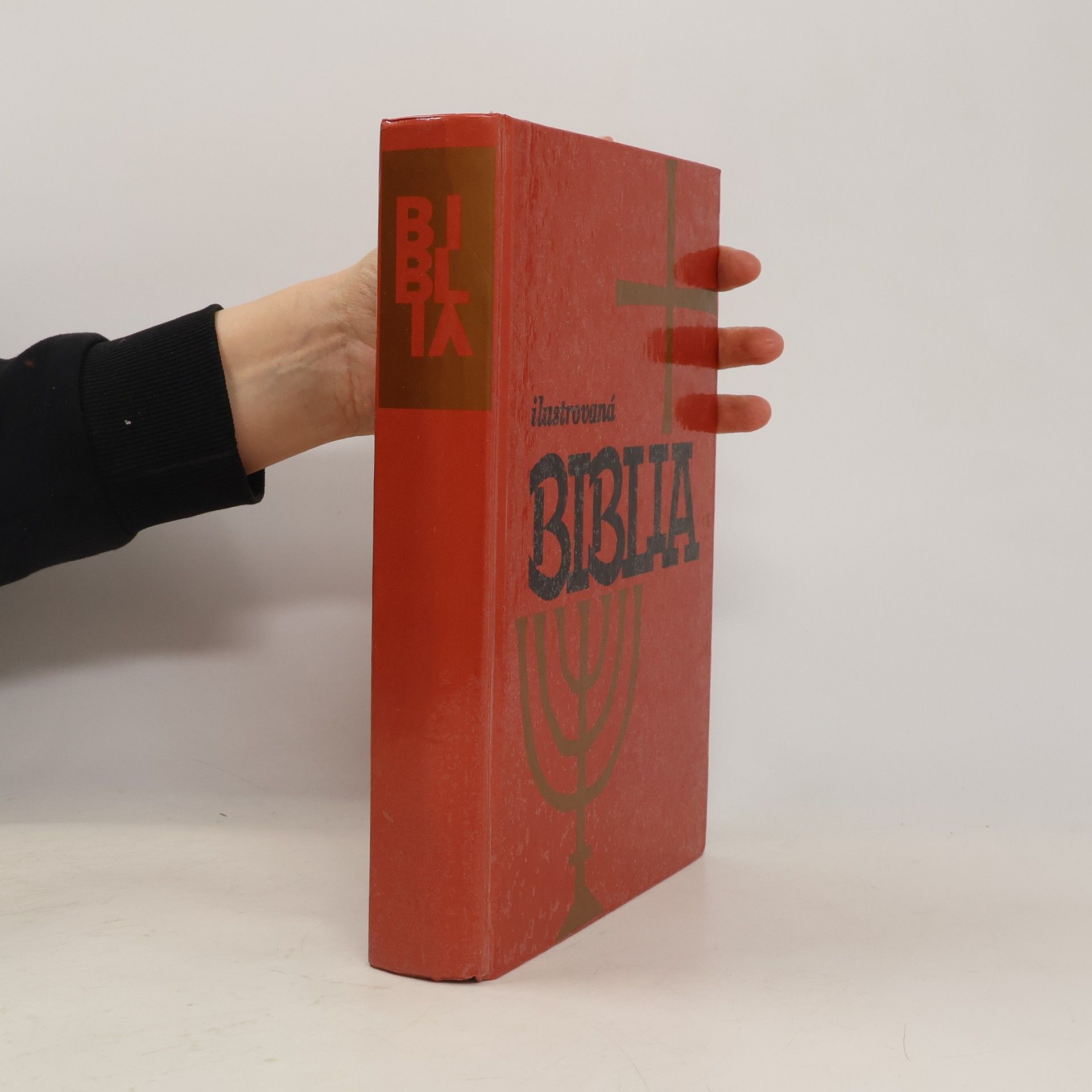 Autorenkollektiv Ilustrovaná biblia : Výber statí s farebnými obrázkami