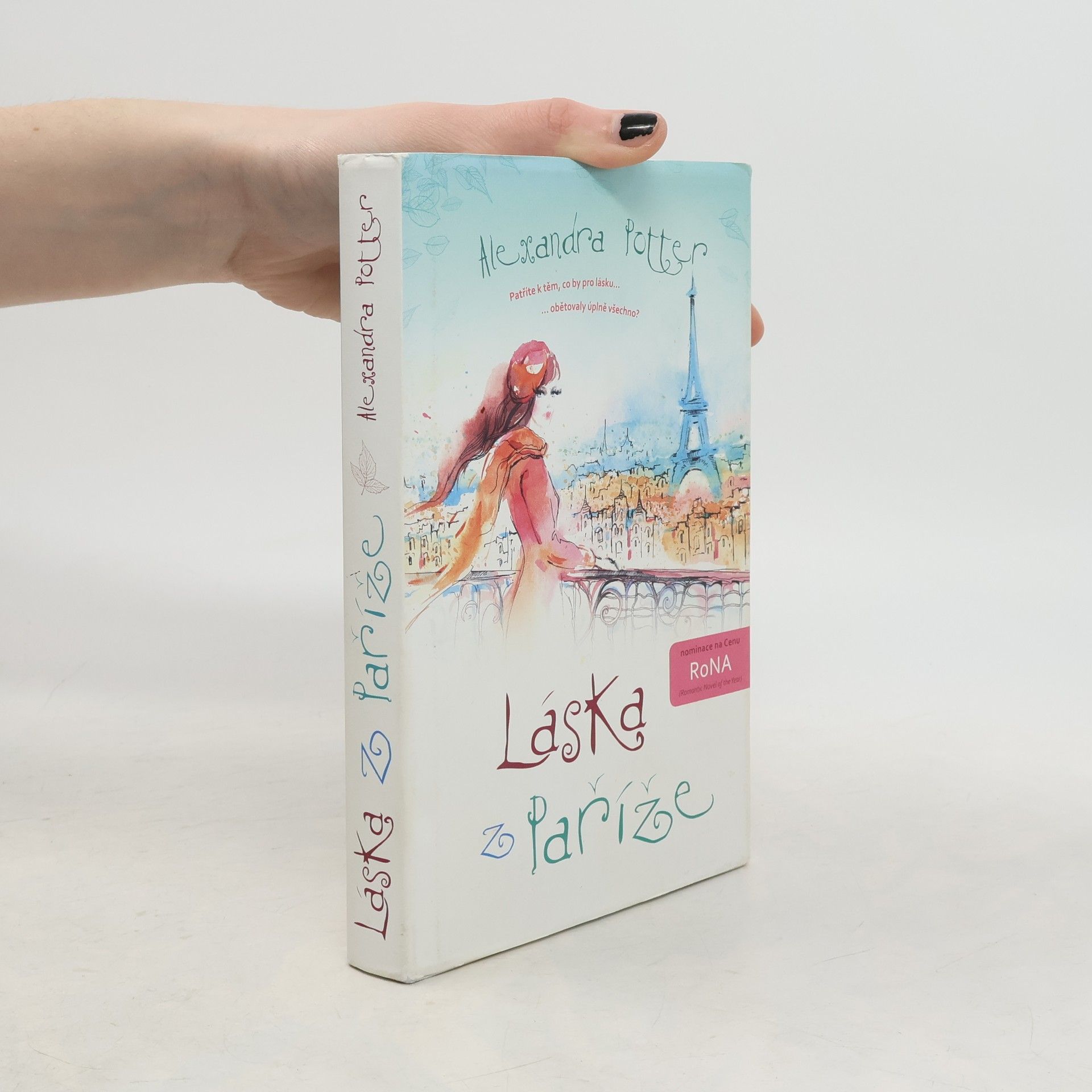 Alexandra Potter Láska z Paříže