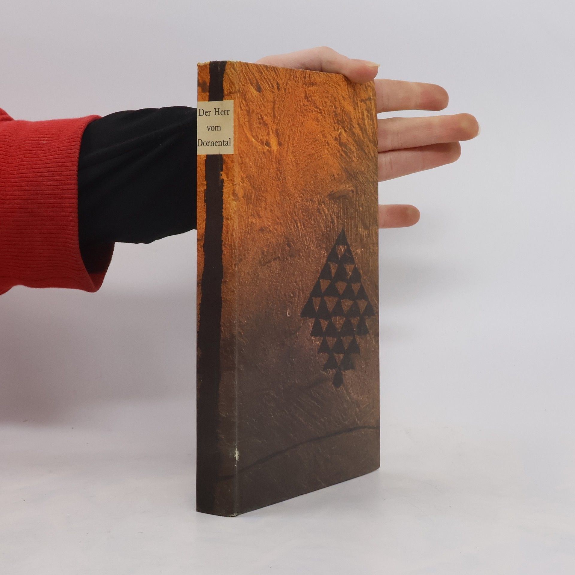 Autorenkollektiv Der Herr vom Dornental