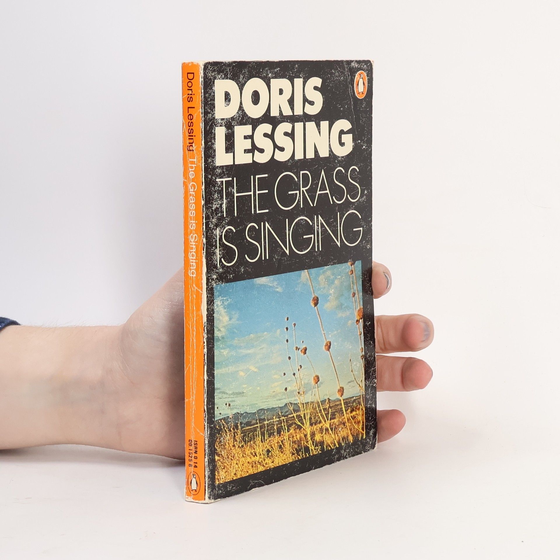 Doris Lessing The Grass is Singing
