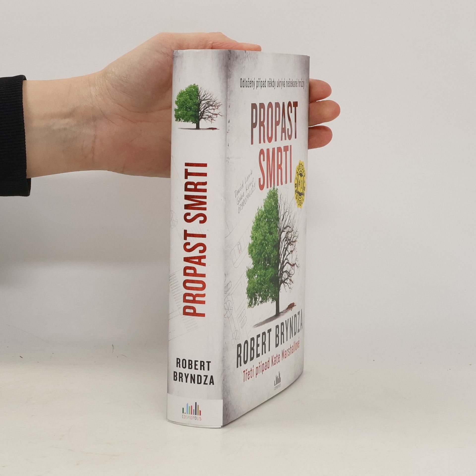 Robert Bryndza Propast smrti