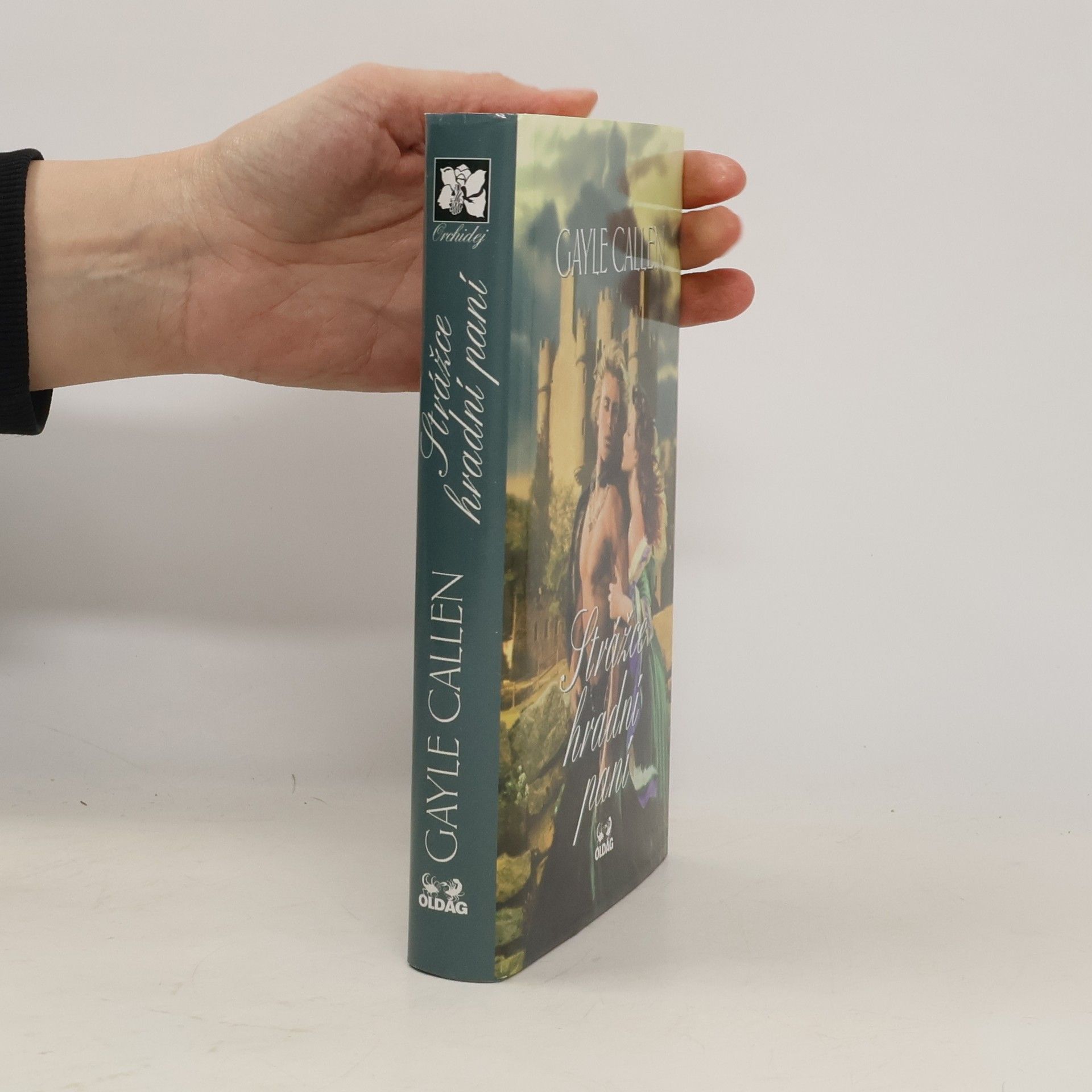 Julia Latham Strážce hradní paní