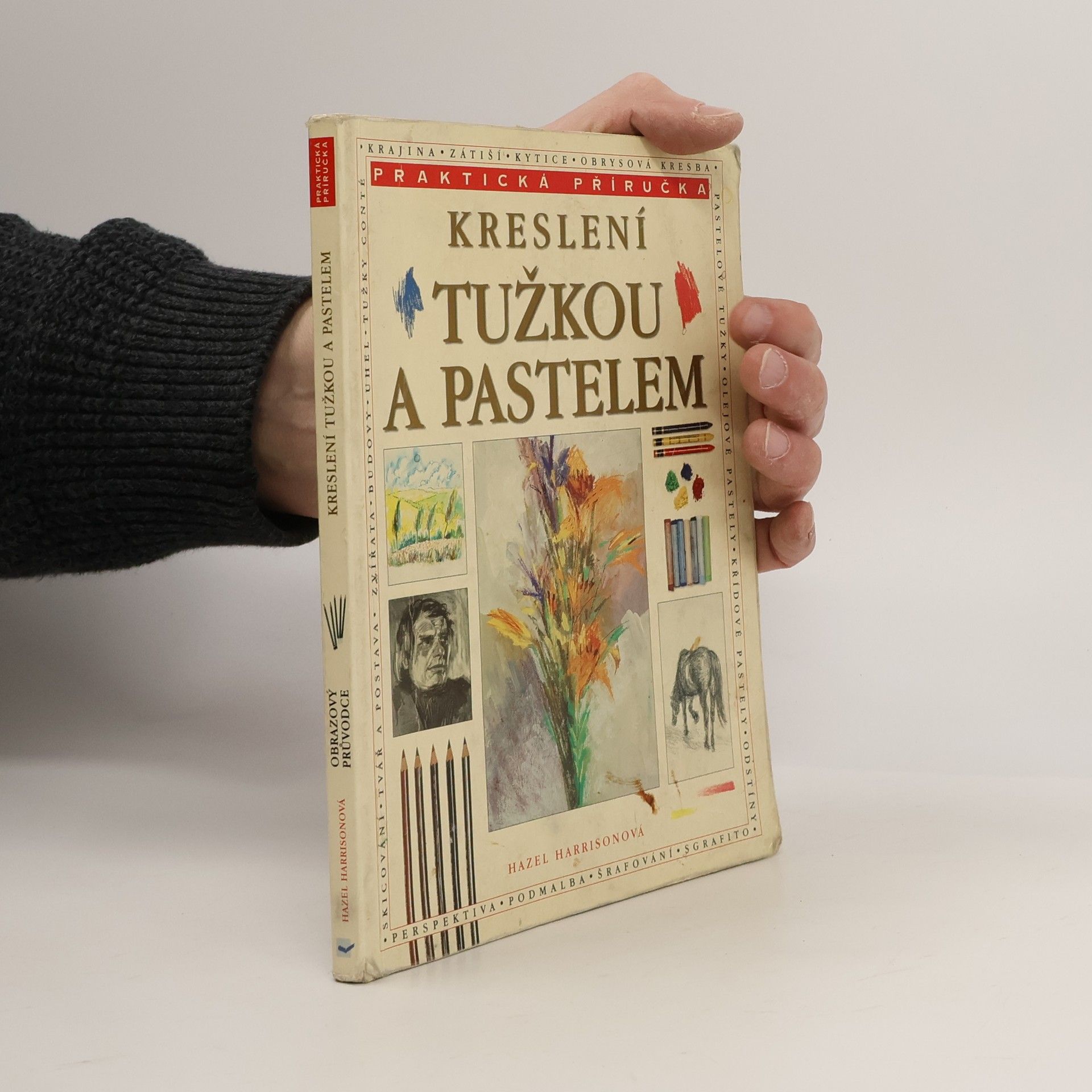 Hazel Harrison Kreslení tužkou a pastelem