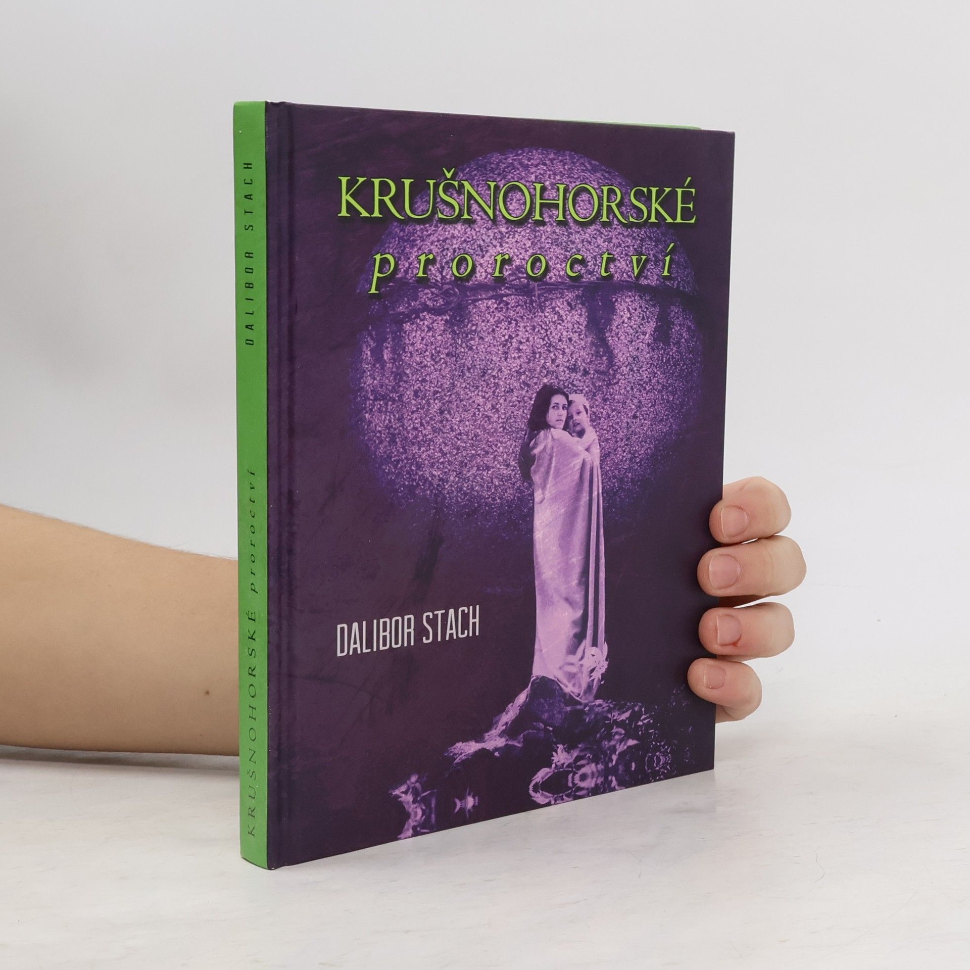 Dalibor Strach Krušnohorské proroctví