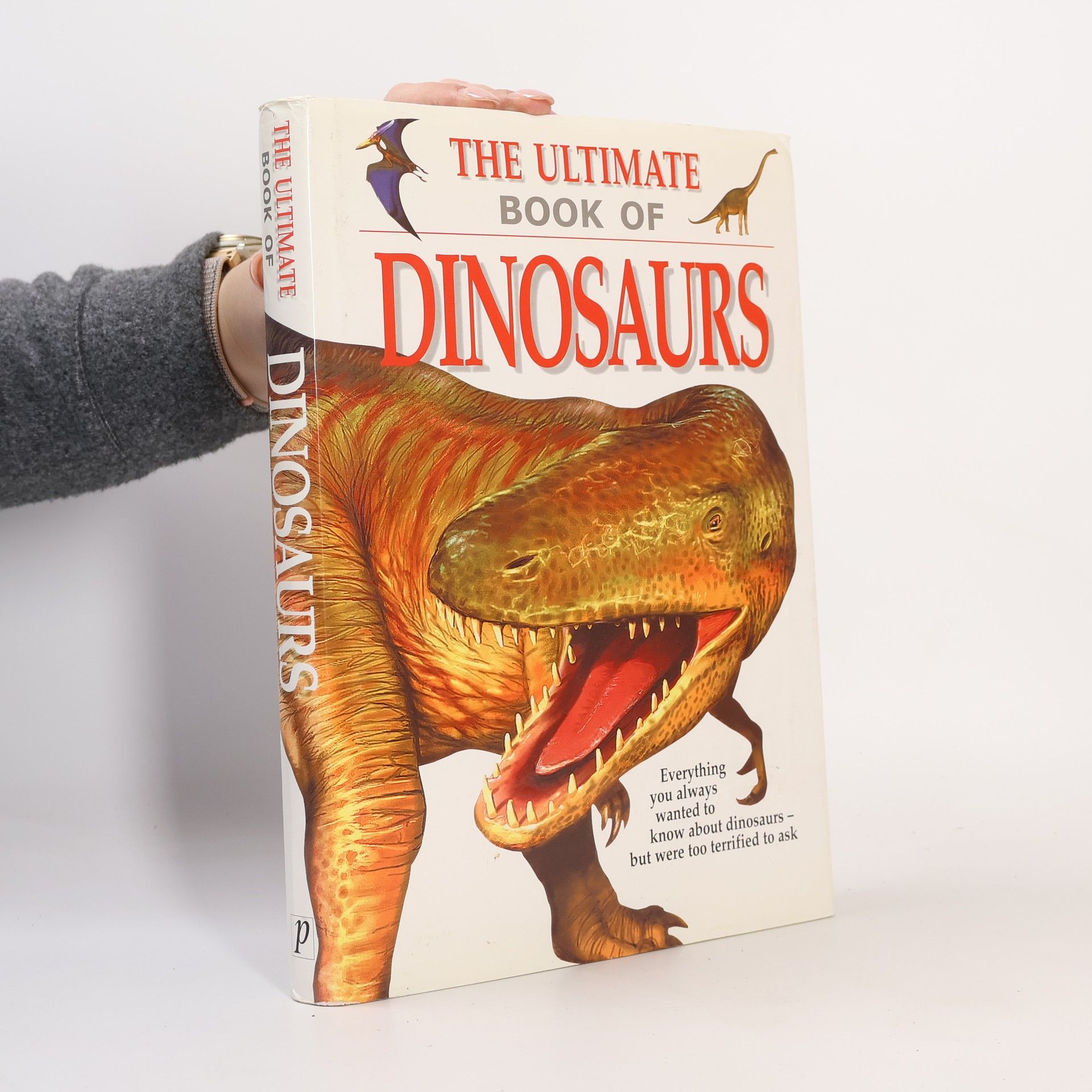 Ian Corless Running beyond: Epic ultra, trail and skyrunning races