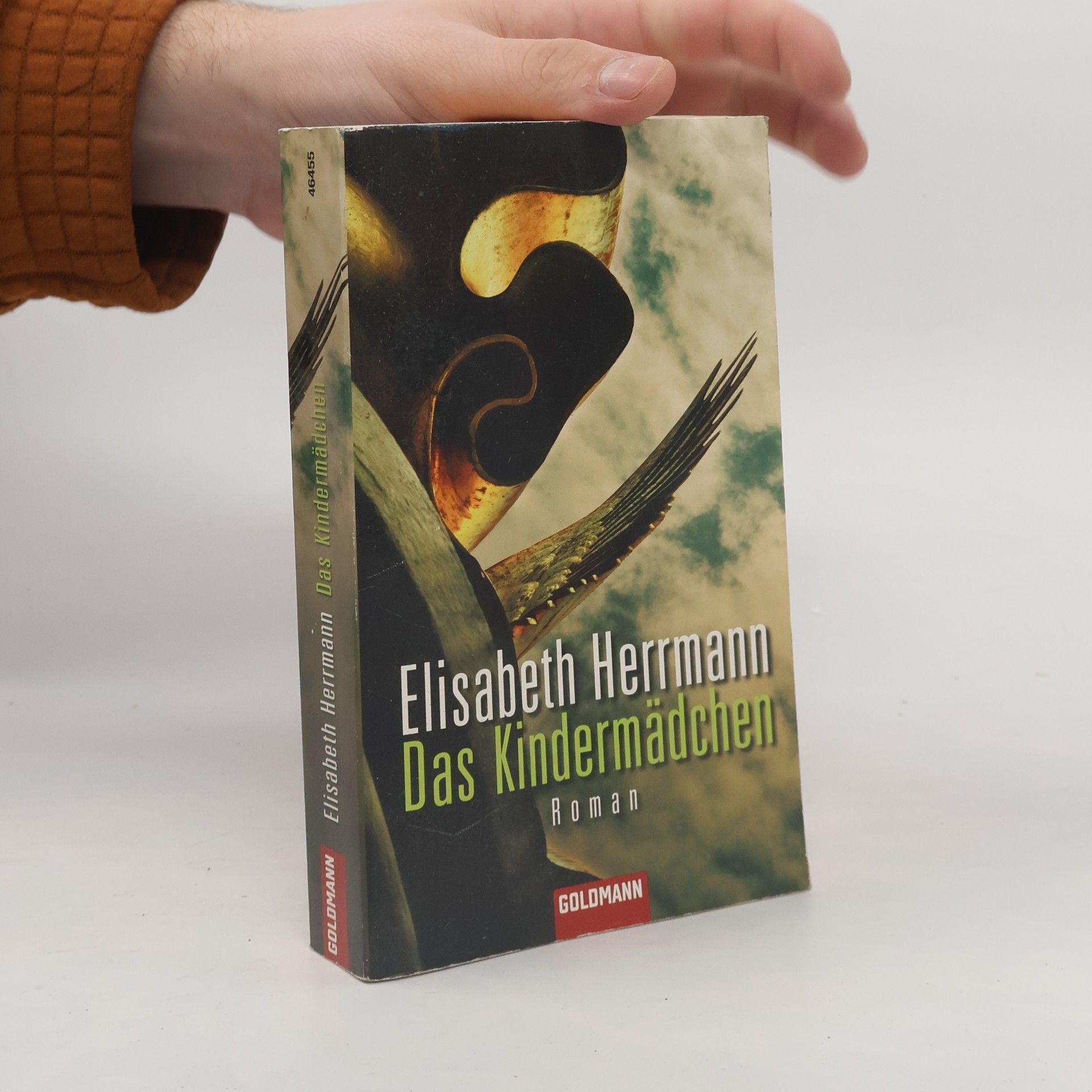 Elisabeth Hermann Das Kindermädchen