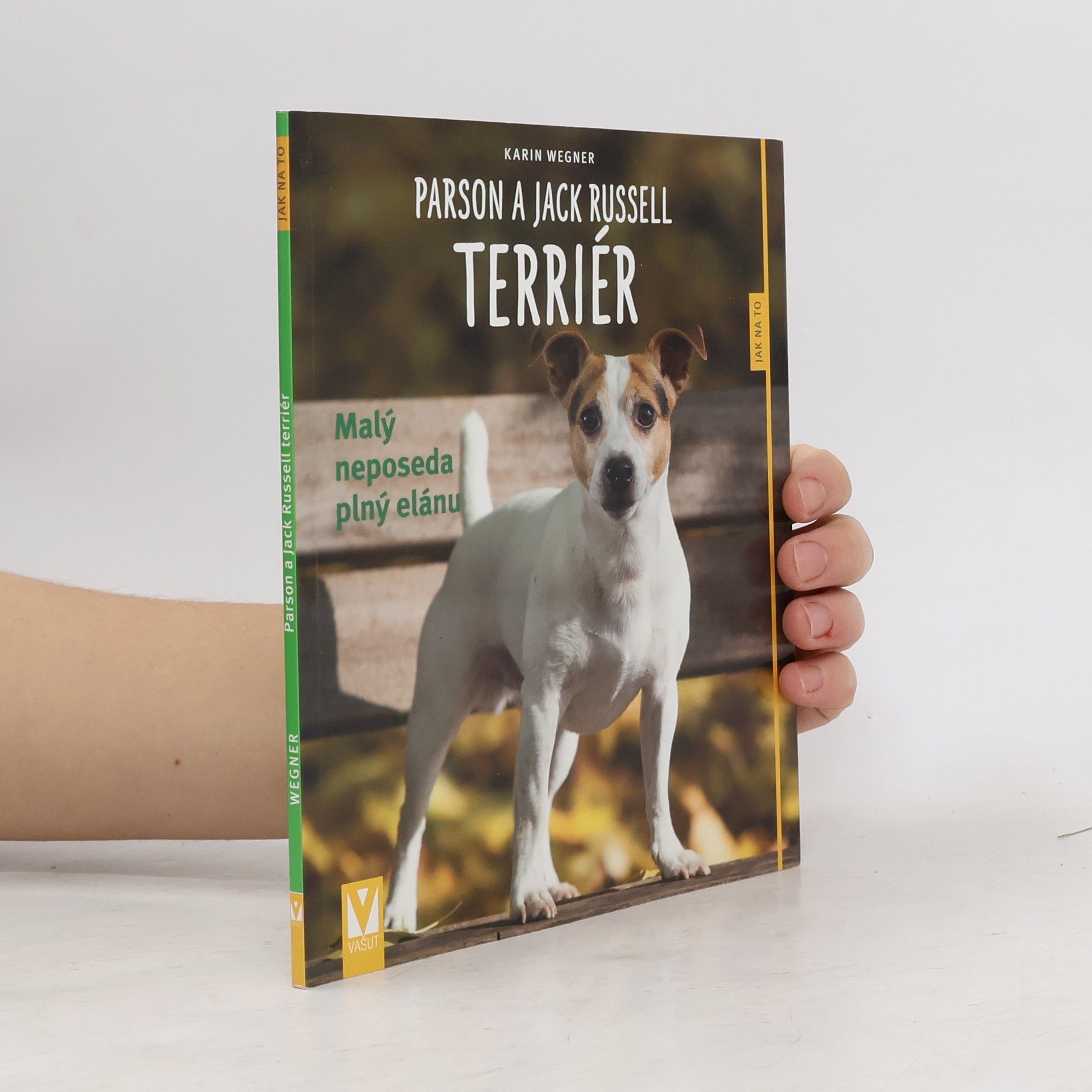 Parson a Jack Russell teriér - Malý neposeda plný elánu