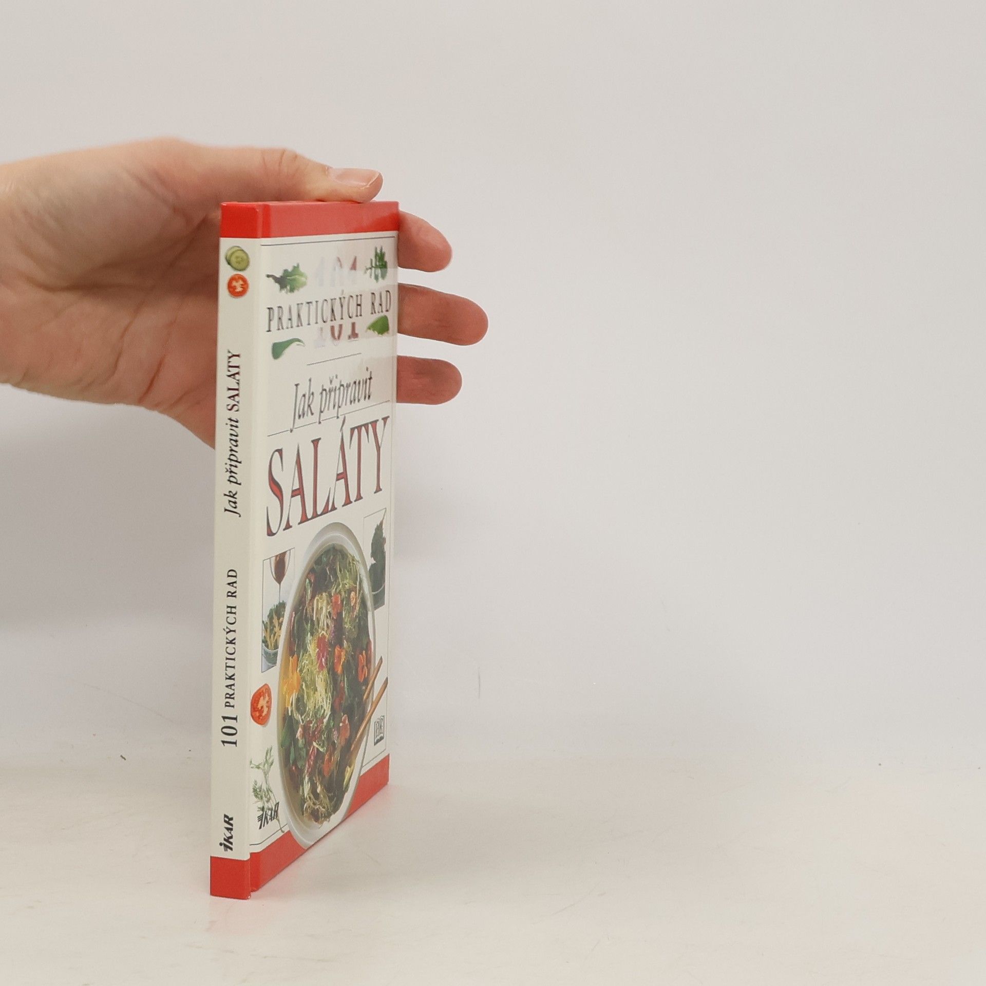 Anne Willan Jak připravit saláty